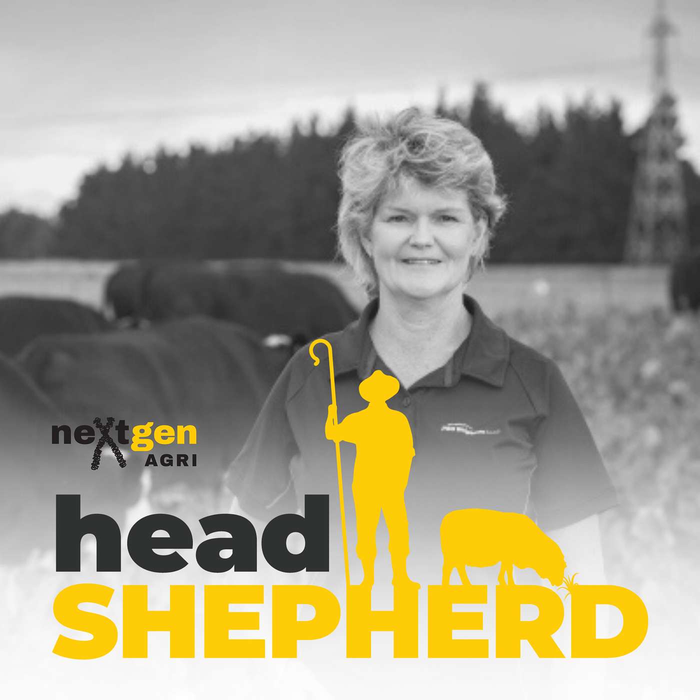 Head Shepherd