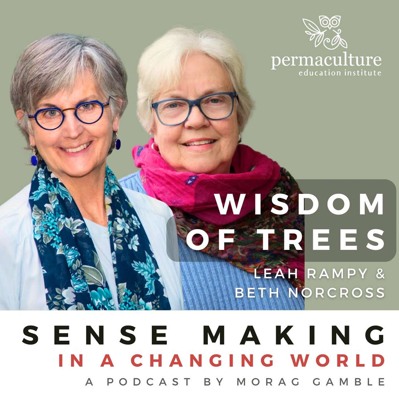 Wisdom of Trees with Leah Rampy, Beth Norcross and Morag Gamble