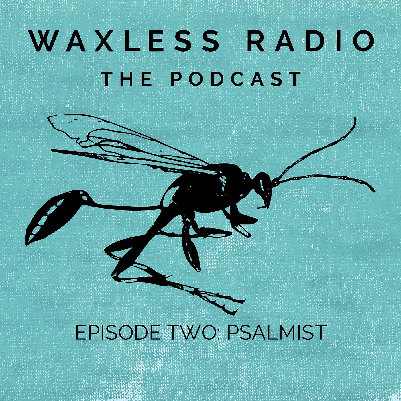 Waxless Radio: The Podcast