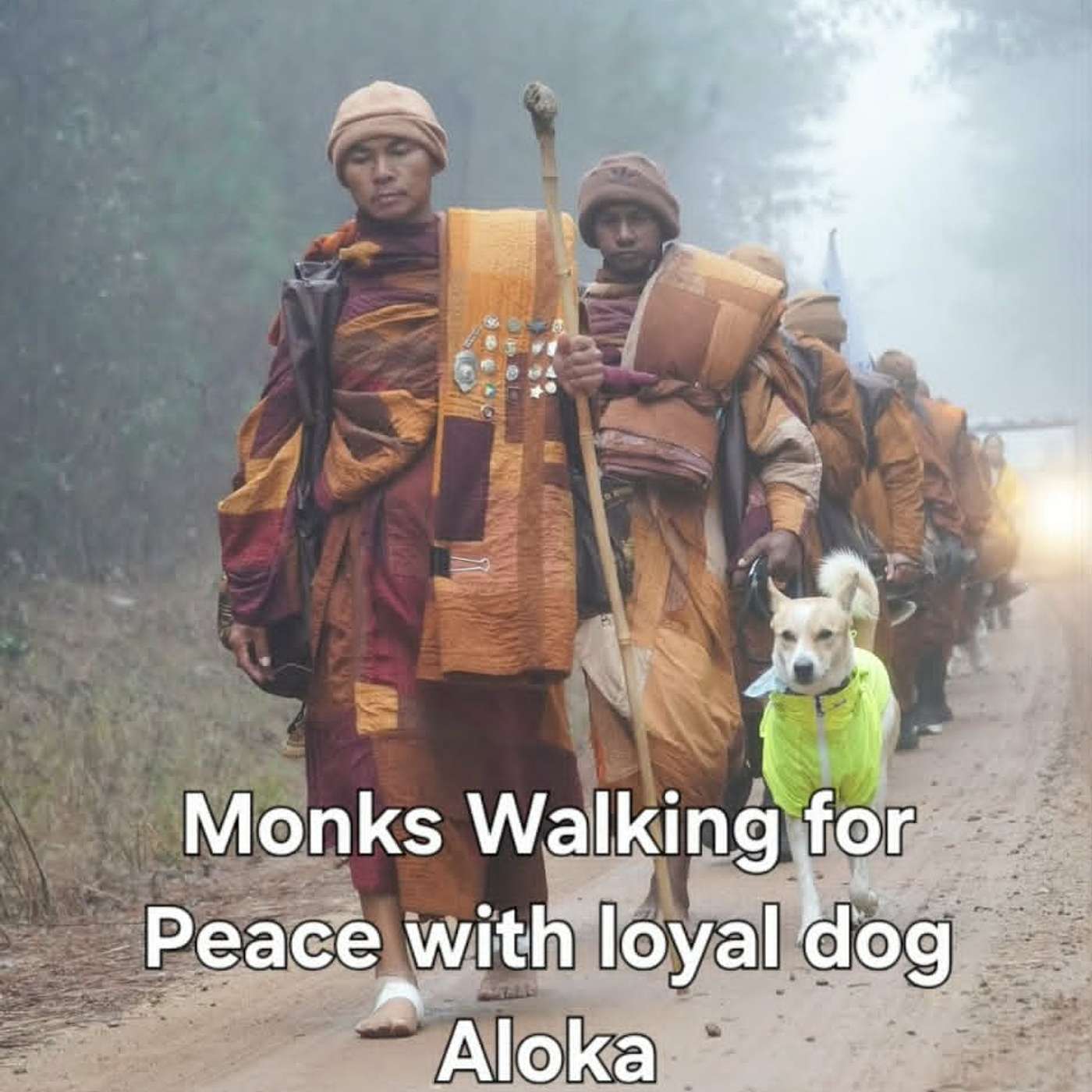 Walking Monks for Peace And Their Loyal Dog Aloka 2,300 miles