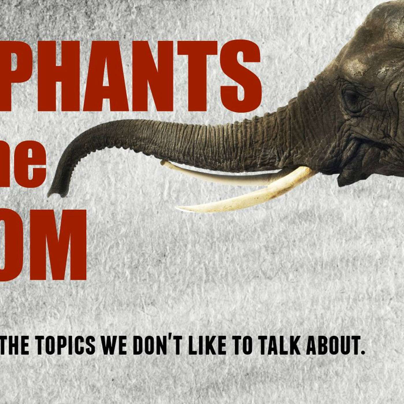 More Elephants pt 2: Racism