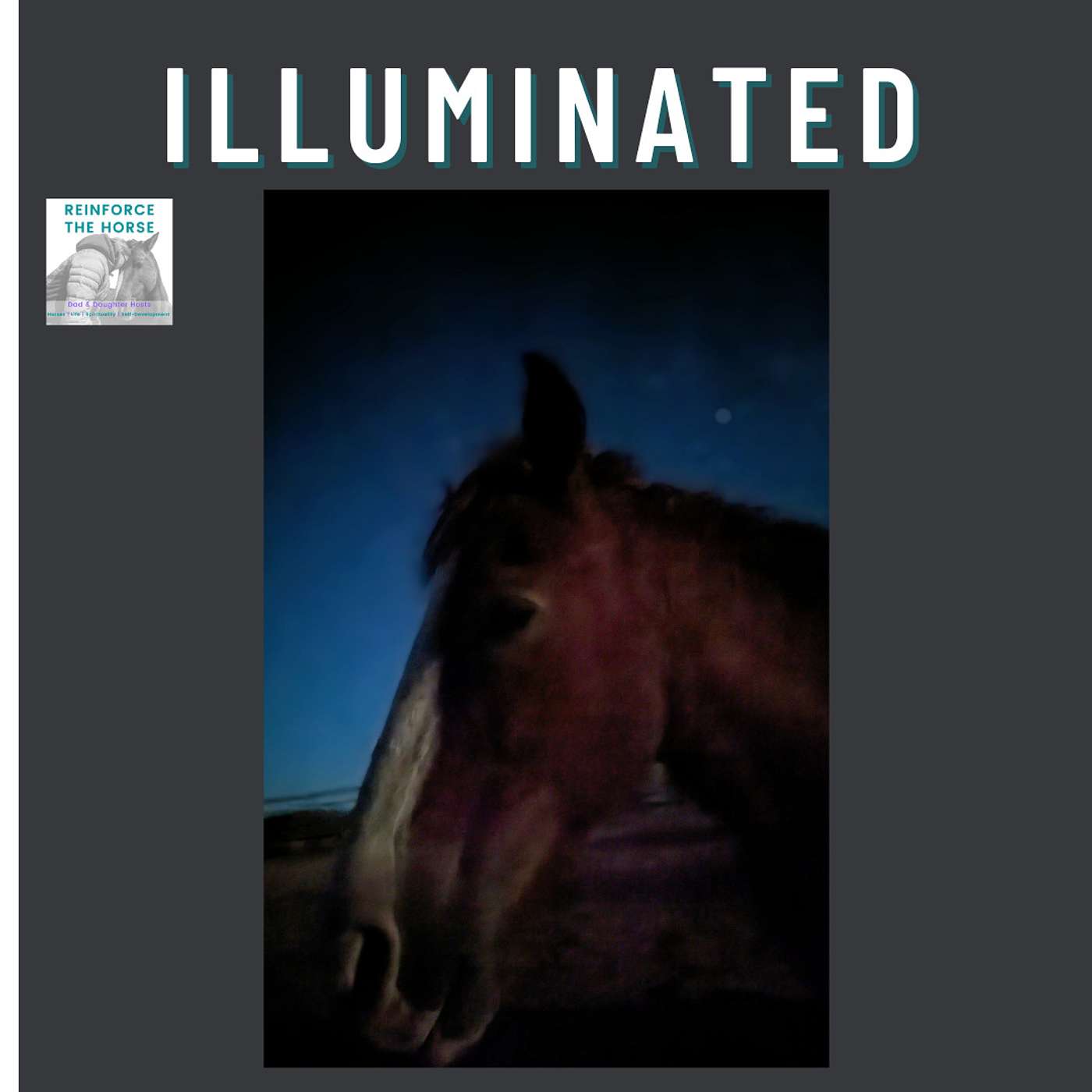 Reinforce the Horse