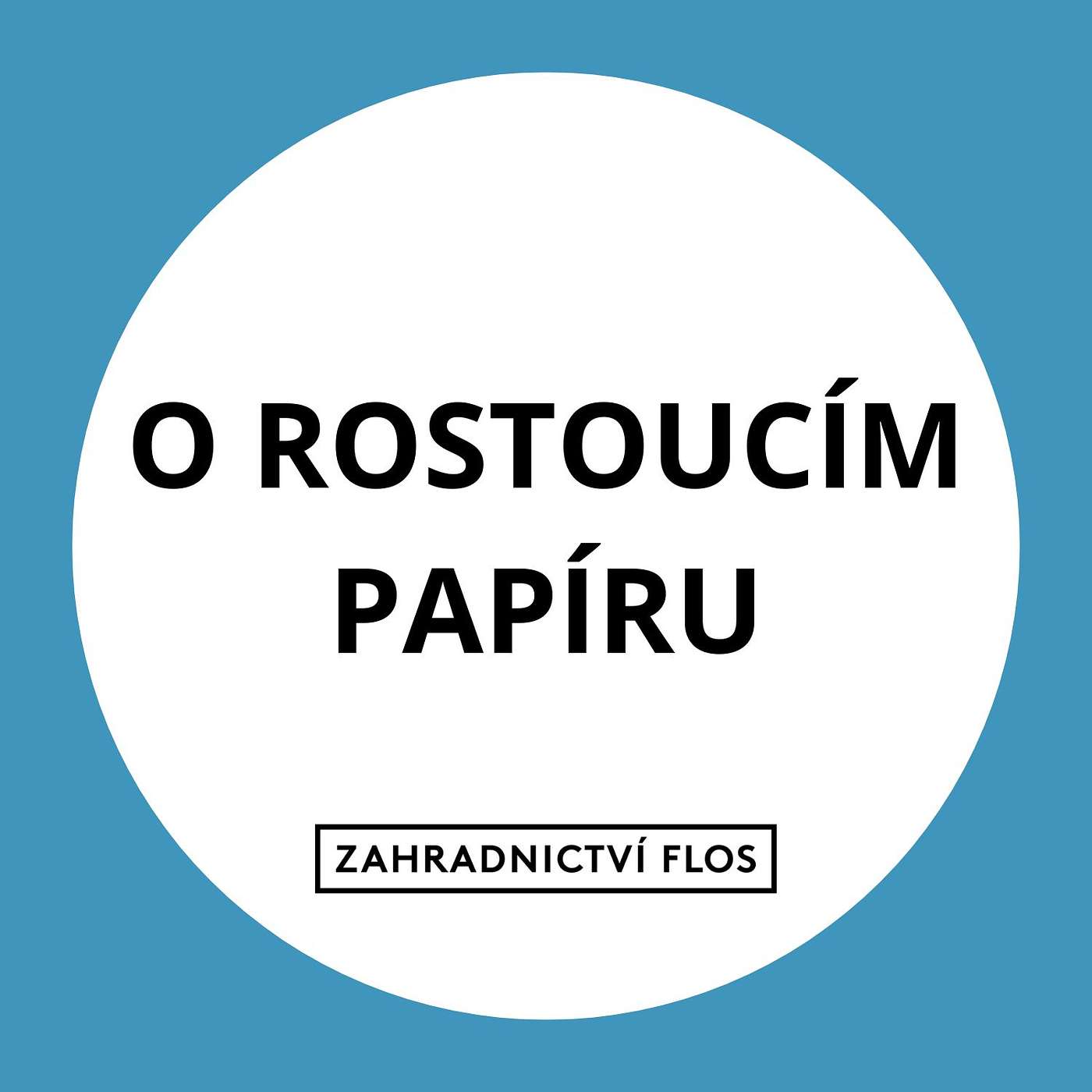 O rostoucím papíru