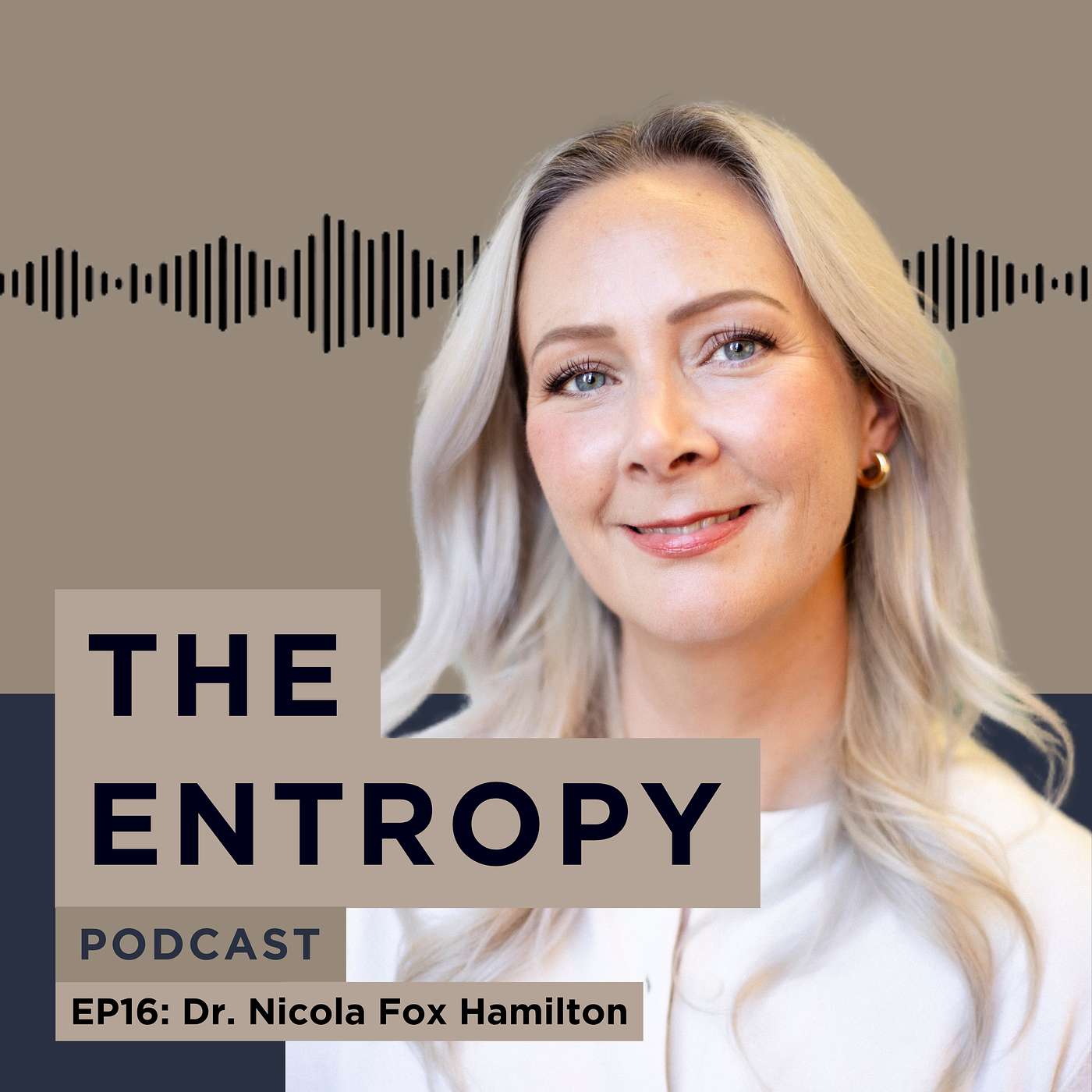 The Entropy Podcast