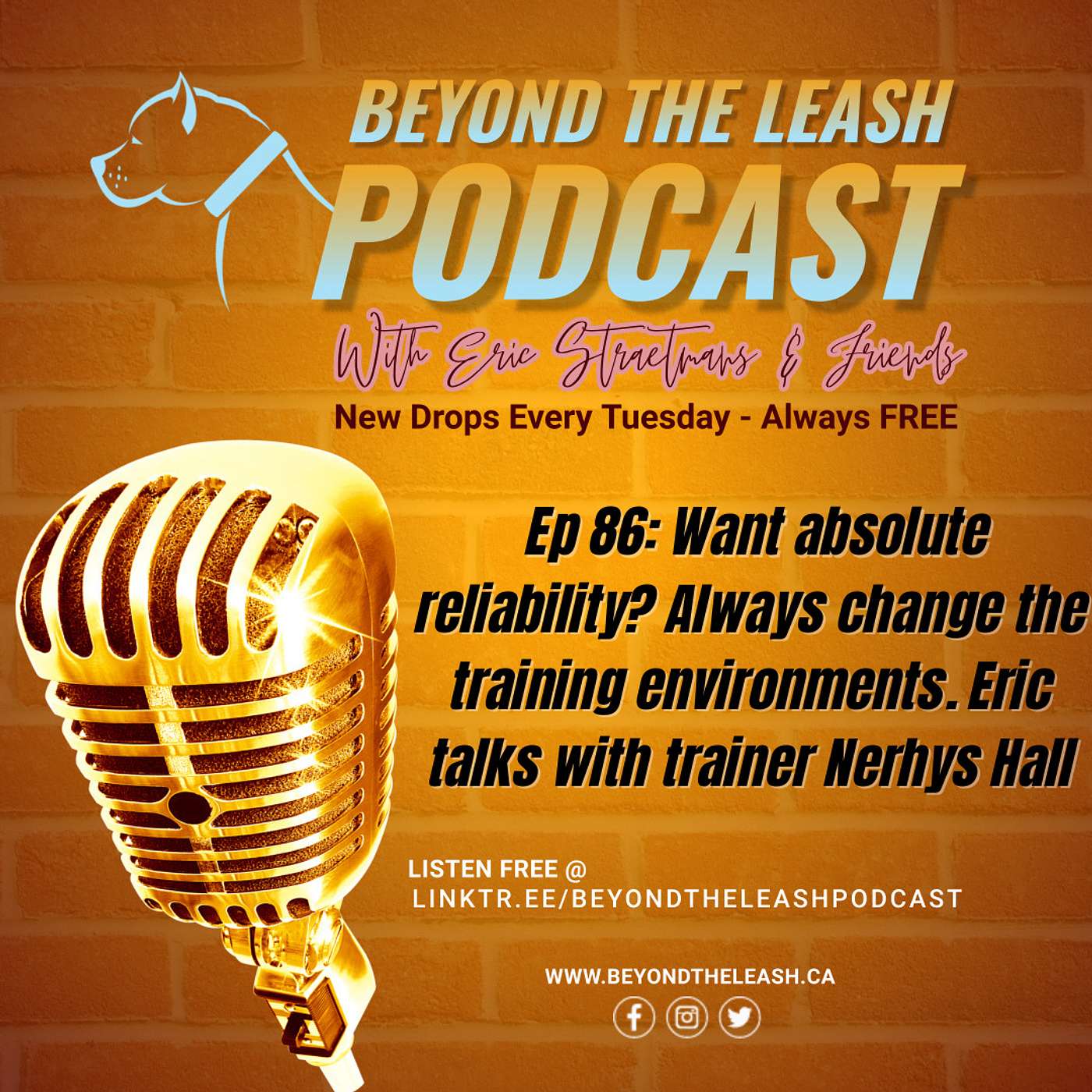 Ep 86: Want absolute reliability? Always change the training environments. Eric talks with trainer Nerhys Hall