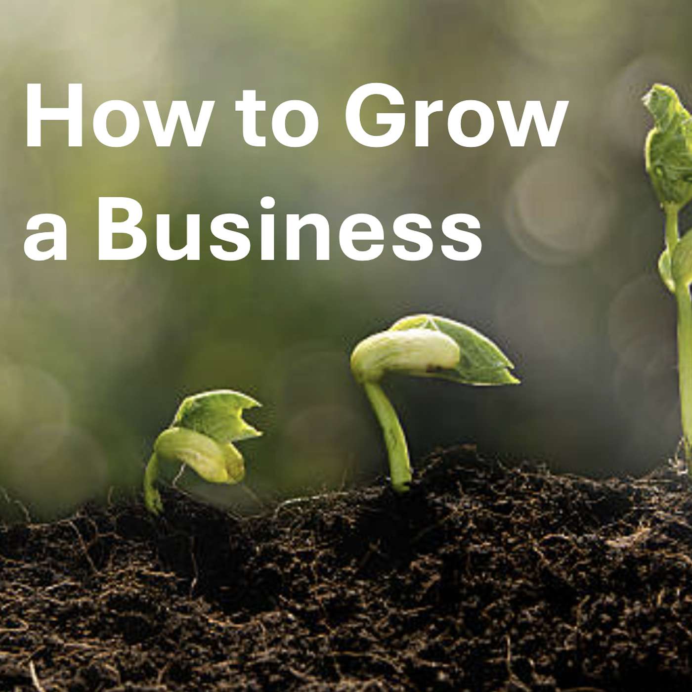 How to Grow a Business - with Rhonda Uebelhor