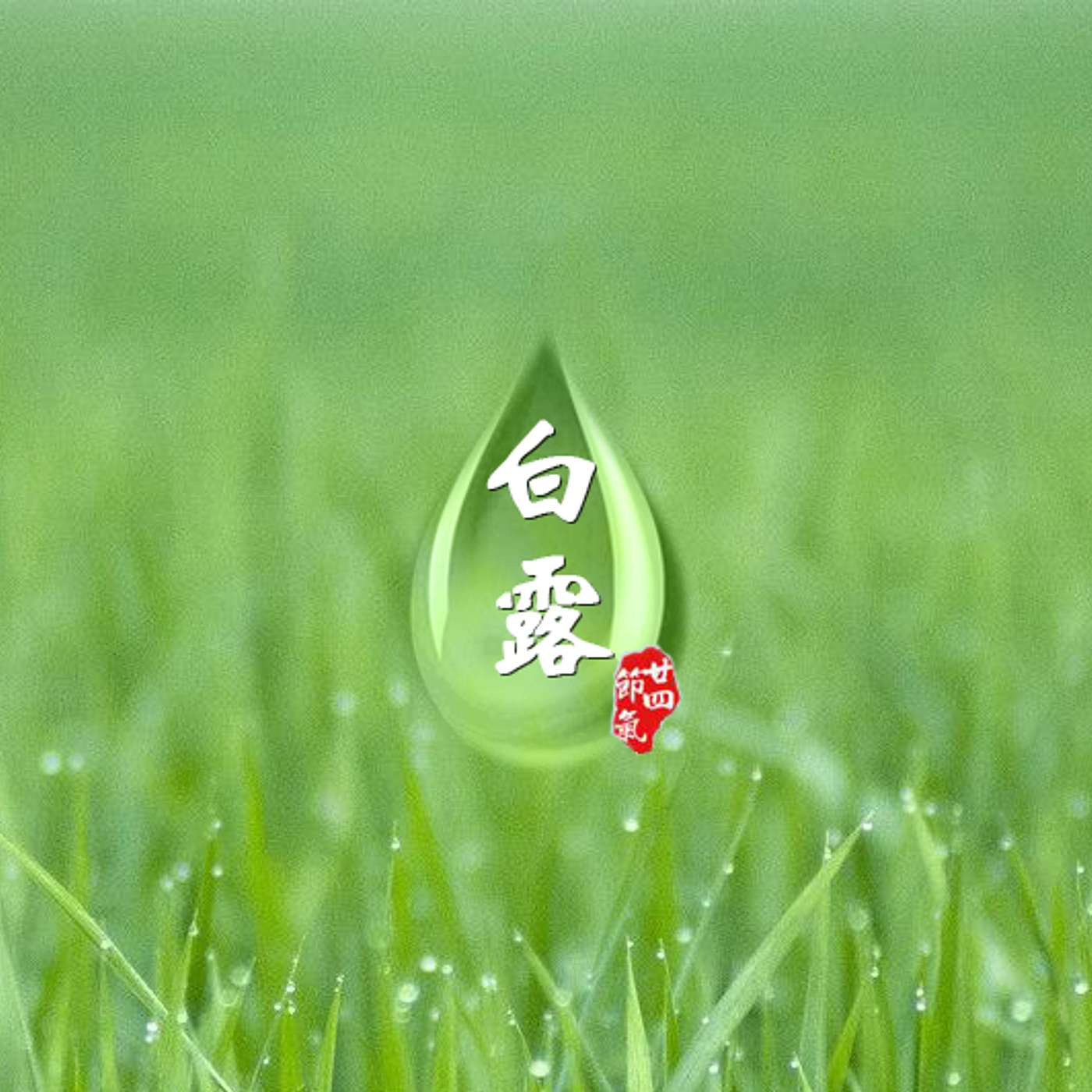 白露(节气) White Dew (Solar Term): How to Transition From Summer to Fall