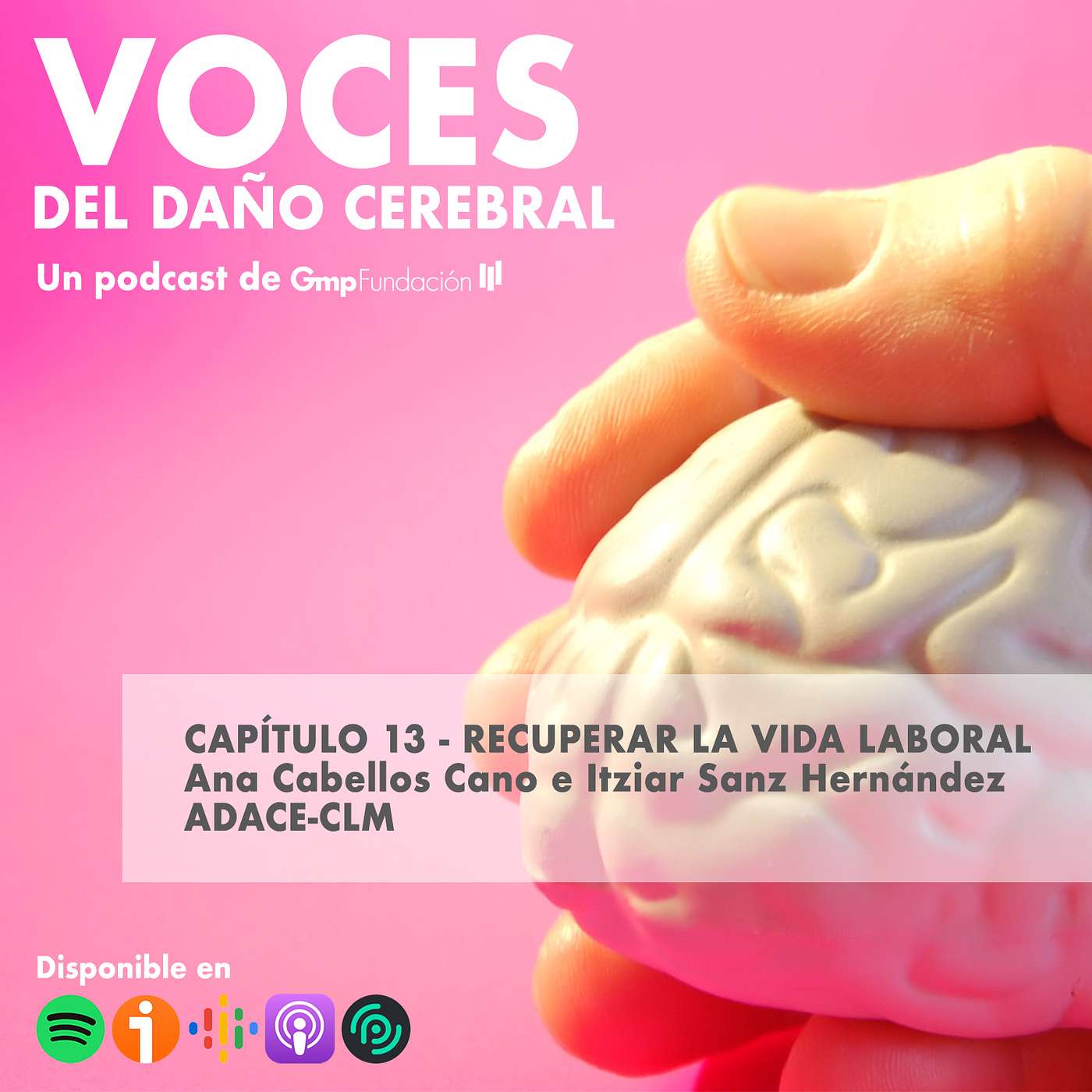 VOCES DEL DAÑO CEREBRAL. Capítulo 13 – Recuperar la vida laboral