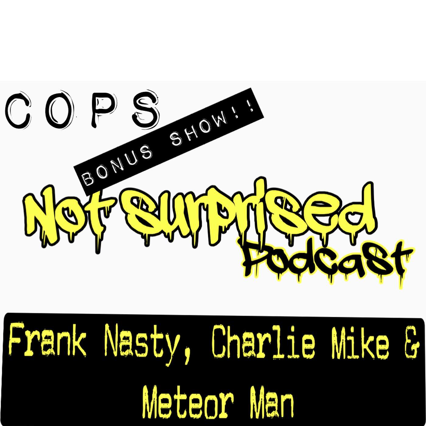 F THE POLICE (BONUS)