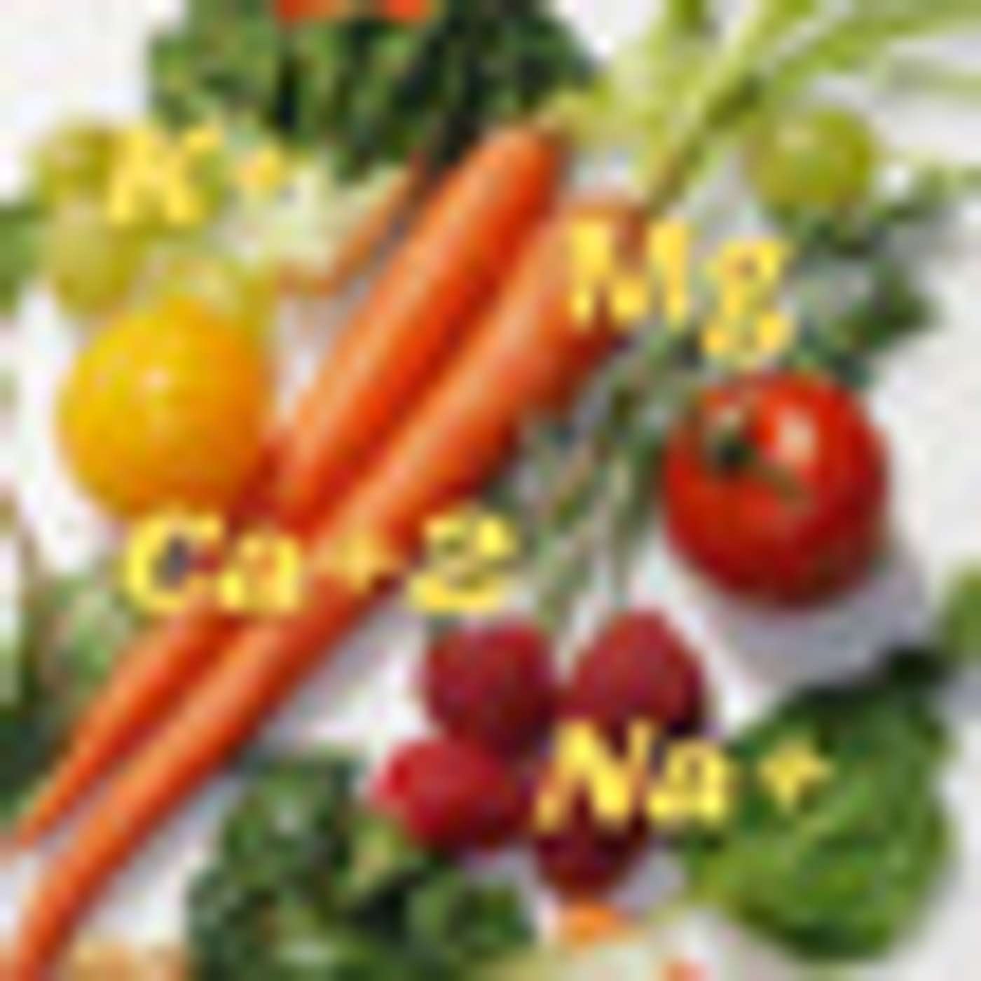 The Cornerstones of Healthy Food Systems