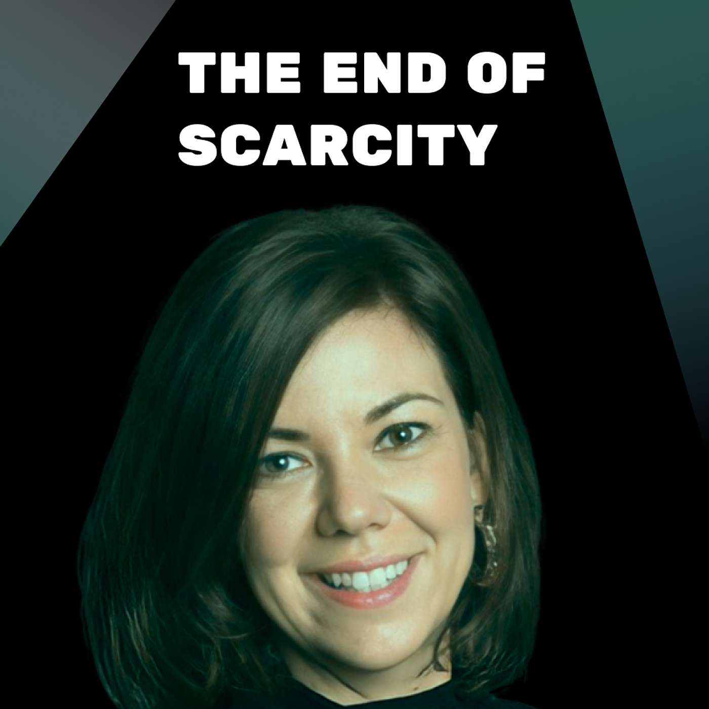 #29. The End of Scarcity.