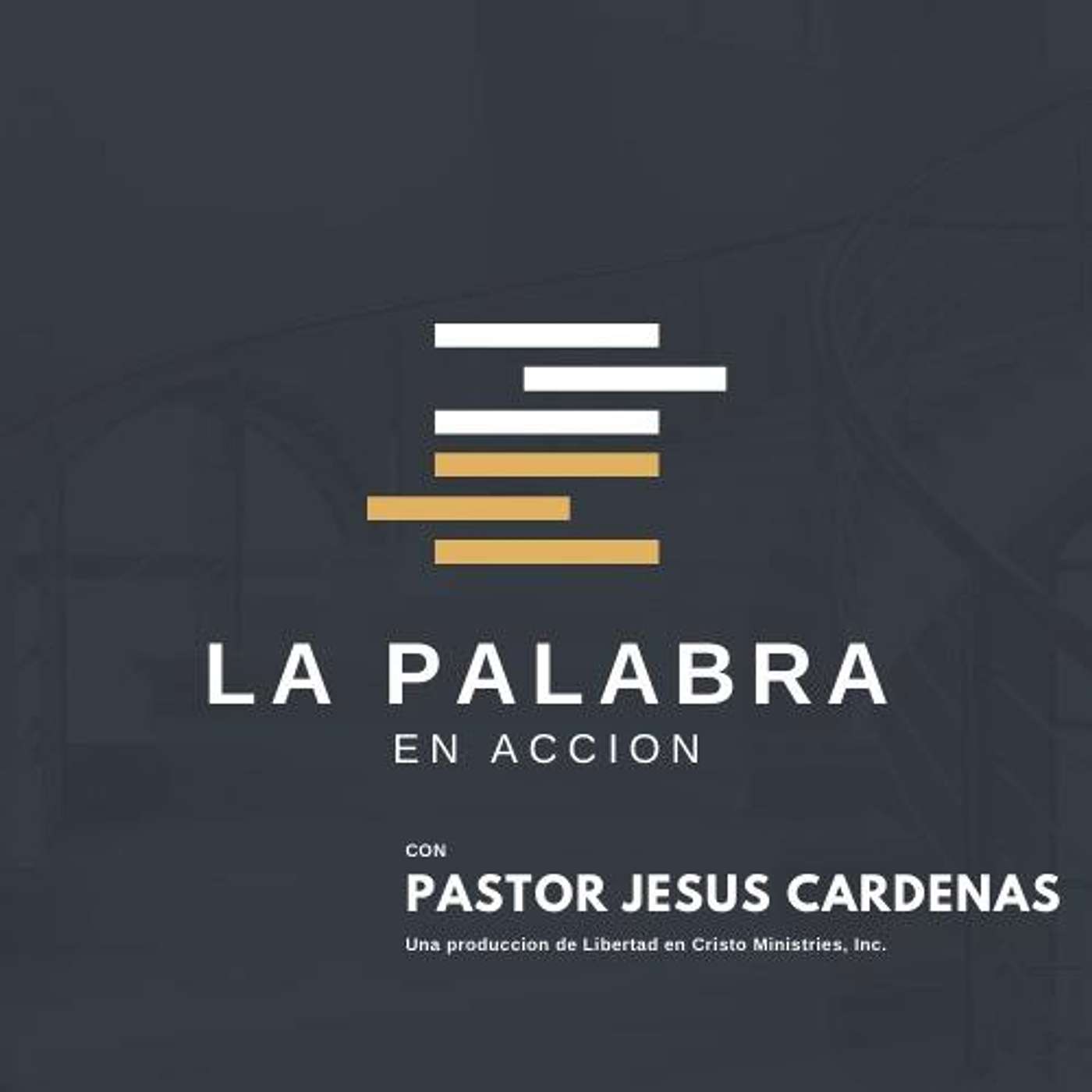La Palabra En Accion