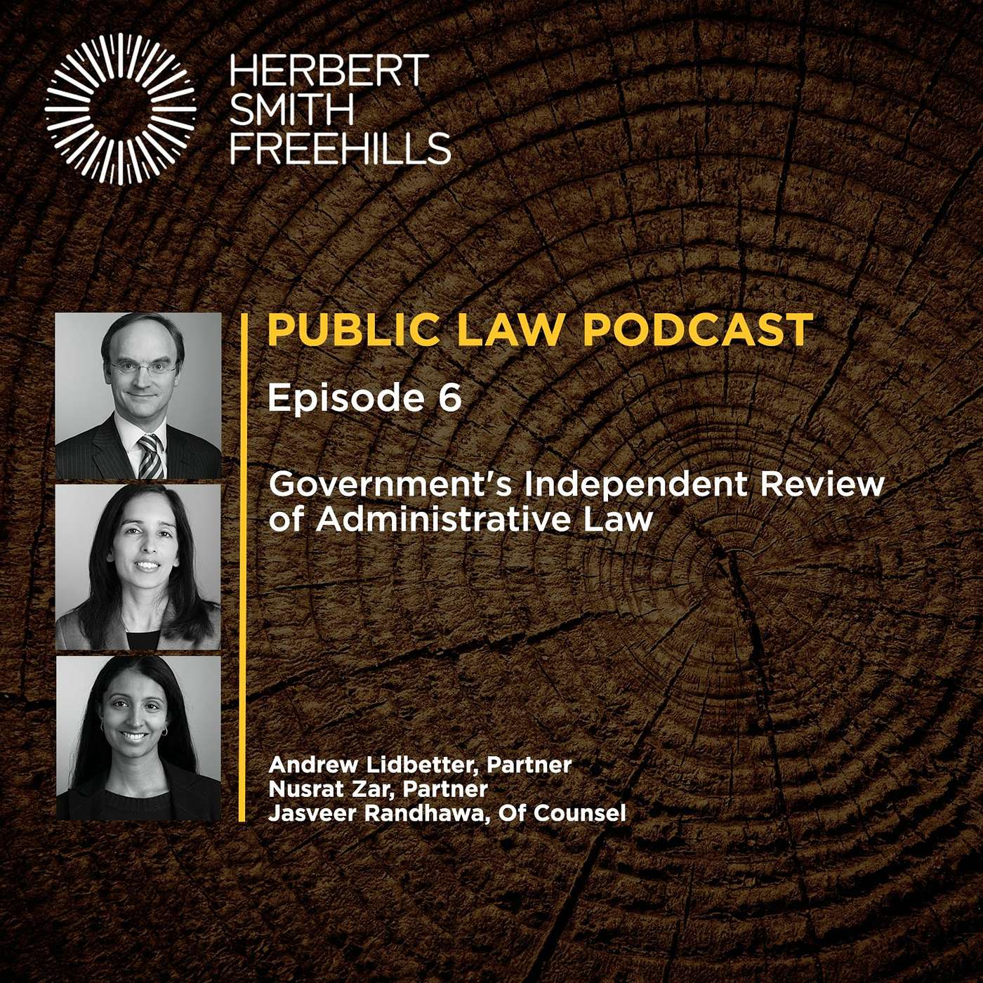 Public Law Podcast EP6: Government's Independent Review of Administrative Law episode artwork