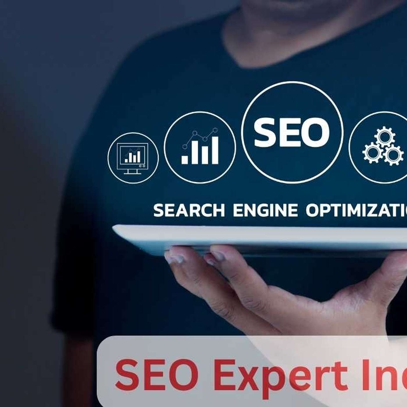 SEO Expert India: Unleash the Power of Search Optimization for Your Business Success!