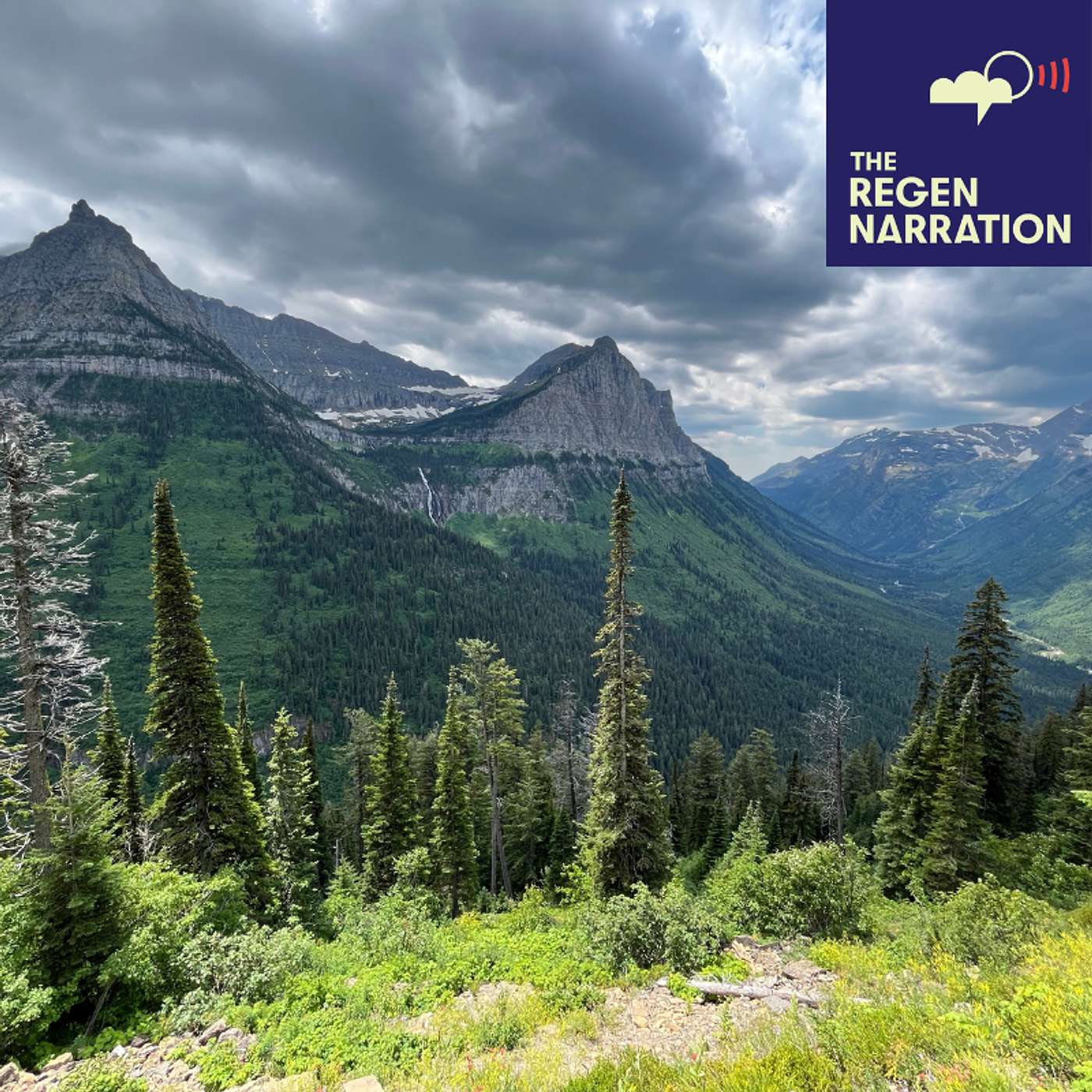 Highlights of 2025: The best from our guests, their places & tunes