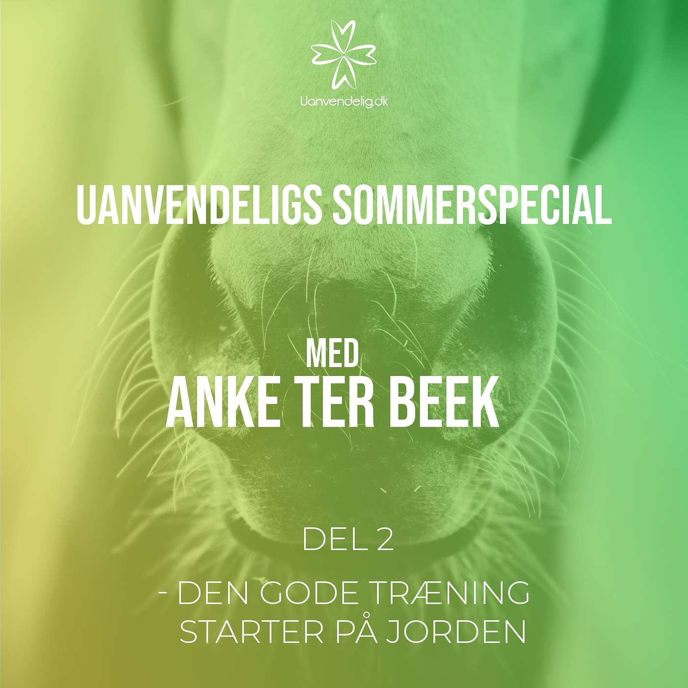 Sommerspecial med Anke Ter Beek - Styrk din hest med træning fra jorden - Del 2 episode artwork