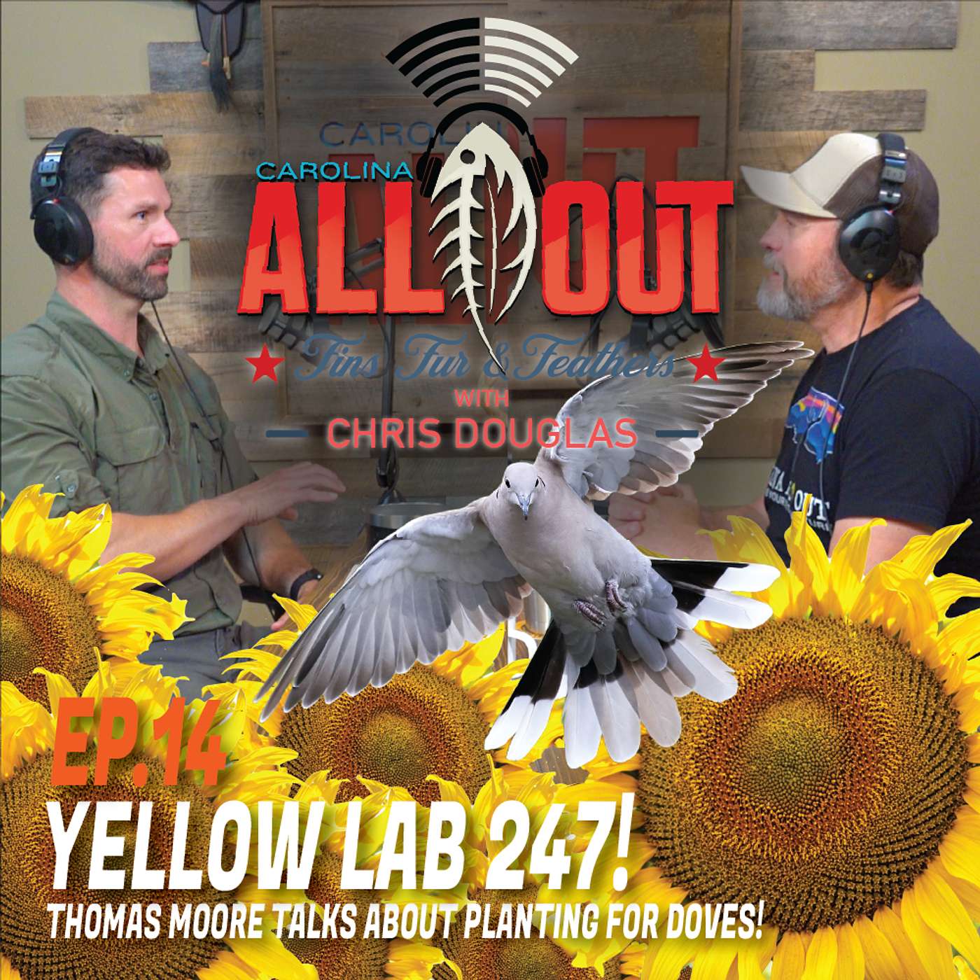 Ep 14: Yellow Lab 247!  Youtuber Thomas Moore discusses his winning plan for planting for doves!