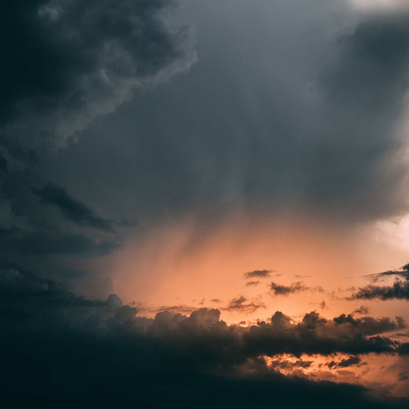 Matthew: Signs of the Times