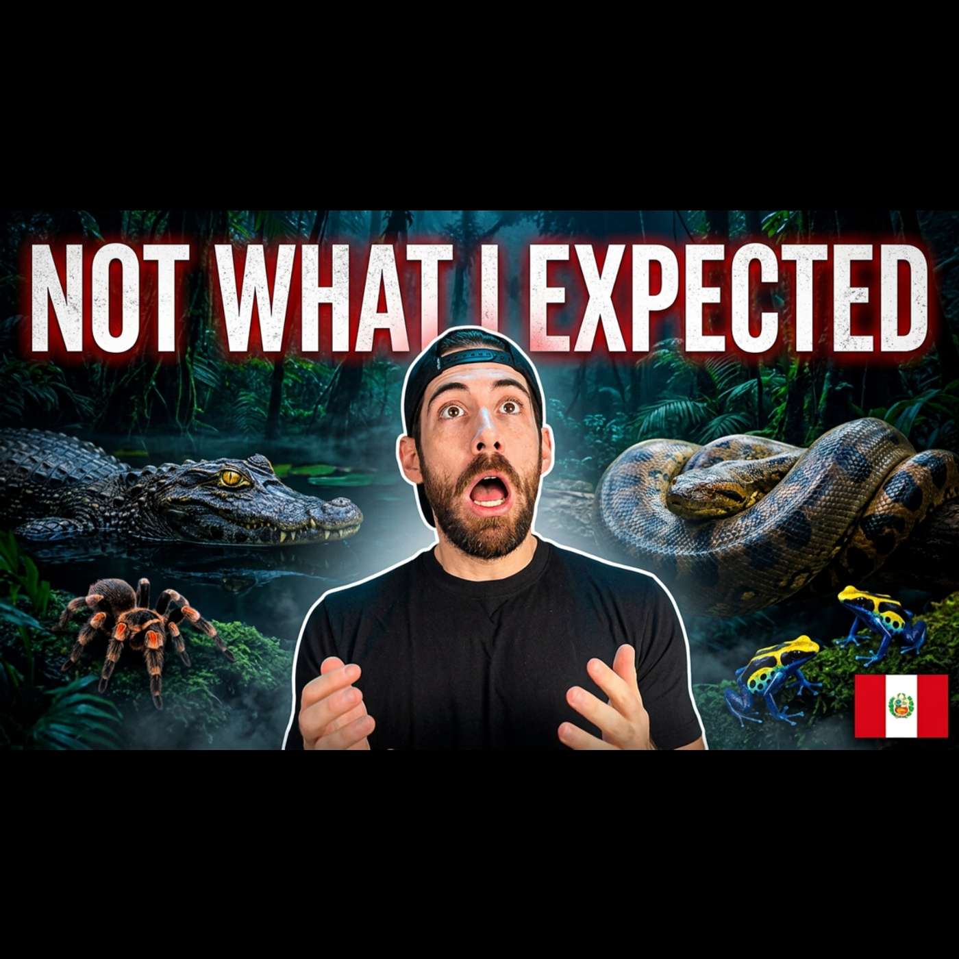 I Hiked the Amazon Jungle at Night...Big Mistake? episode artwork