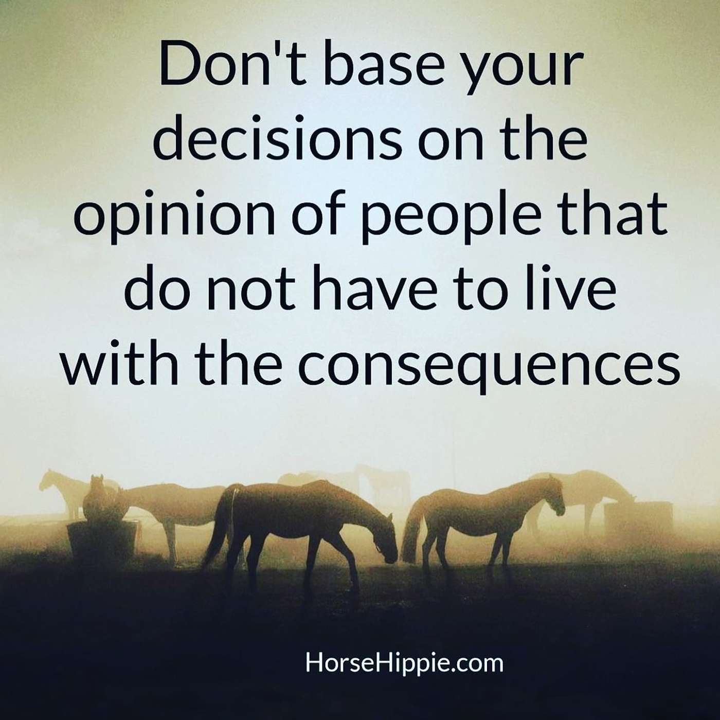 The Opinion of Others