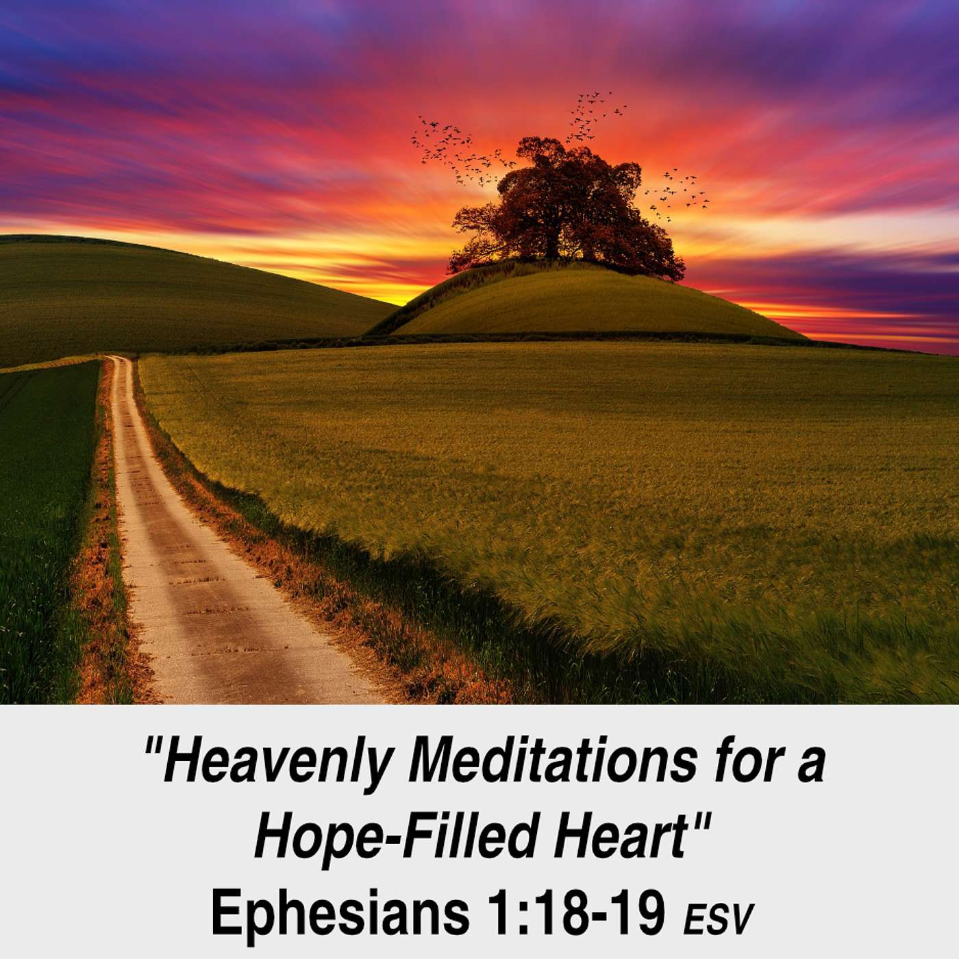 "Heavenly Meditations for a Hope-Filled Heart" - Ephesians 1:18-19