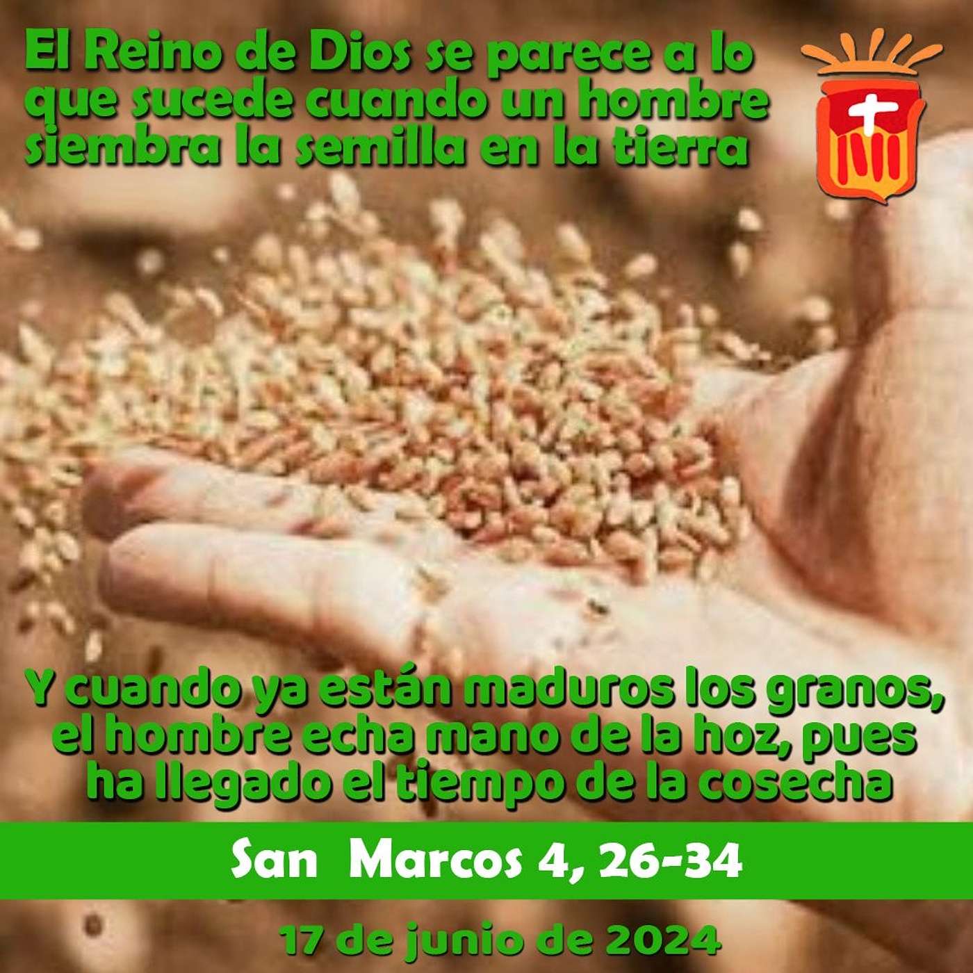 2024-06-16 San Marcos 3, 26-34: Domingo XI Tiempo Ordinario.