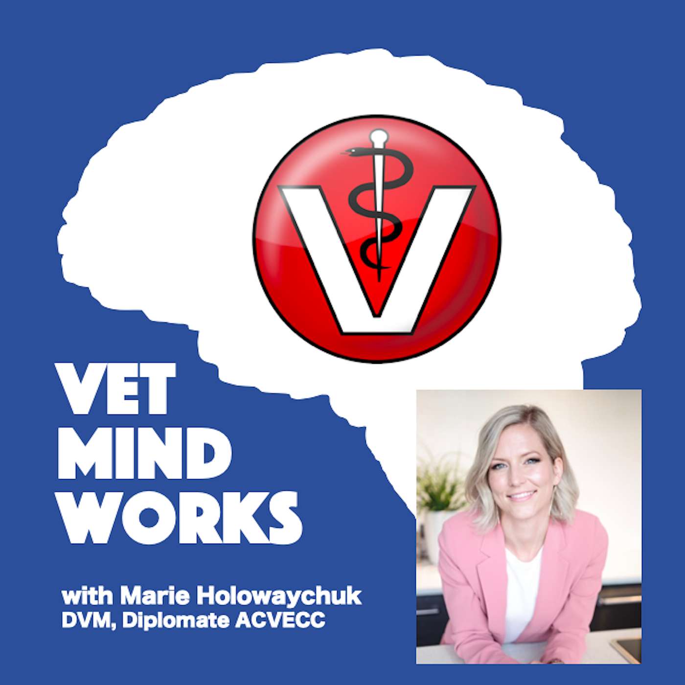 Vet Mind Works Podcast