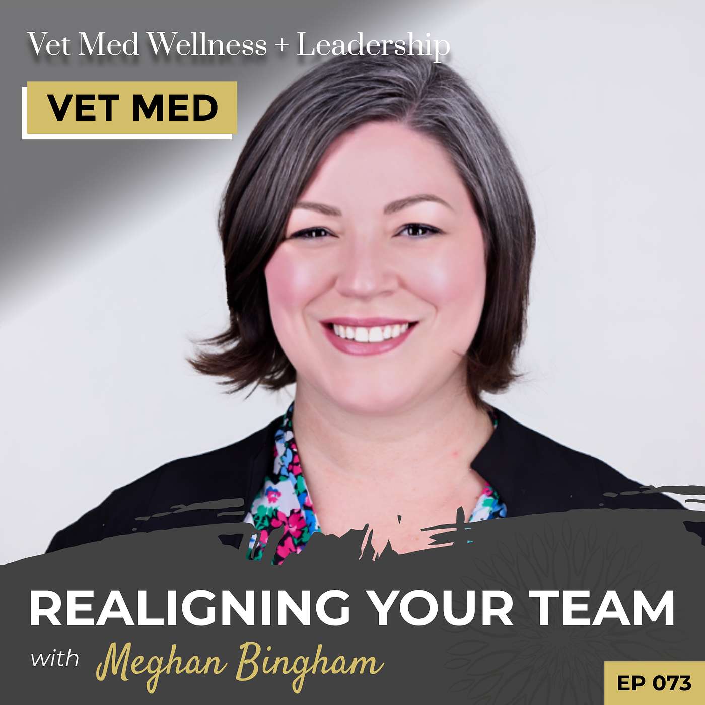 Vet Med Wellness + Leadership