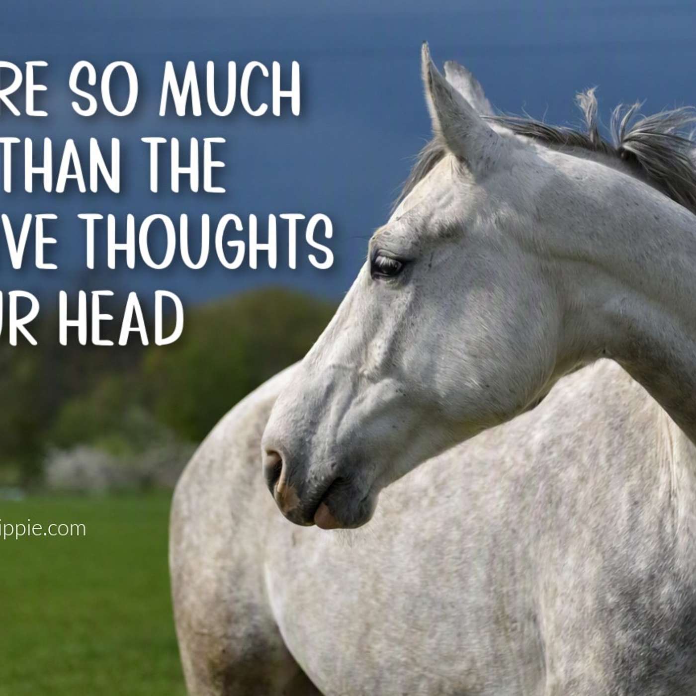 Tell the Negative Thoughts in Your Head to Take a Hike episode artwork