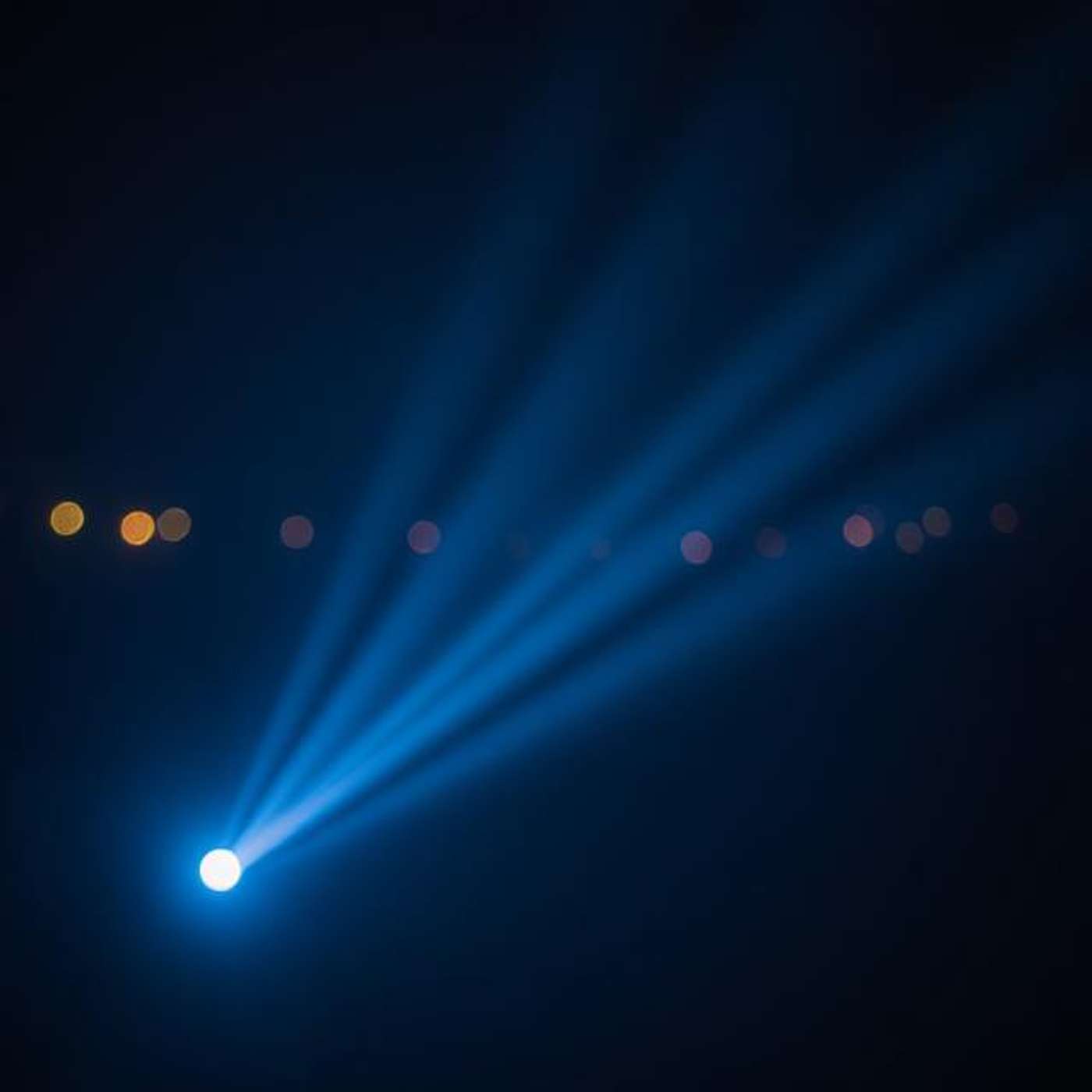 The Lights Are Bright