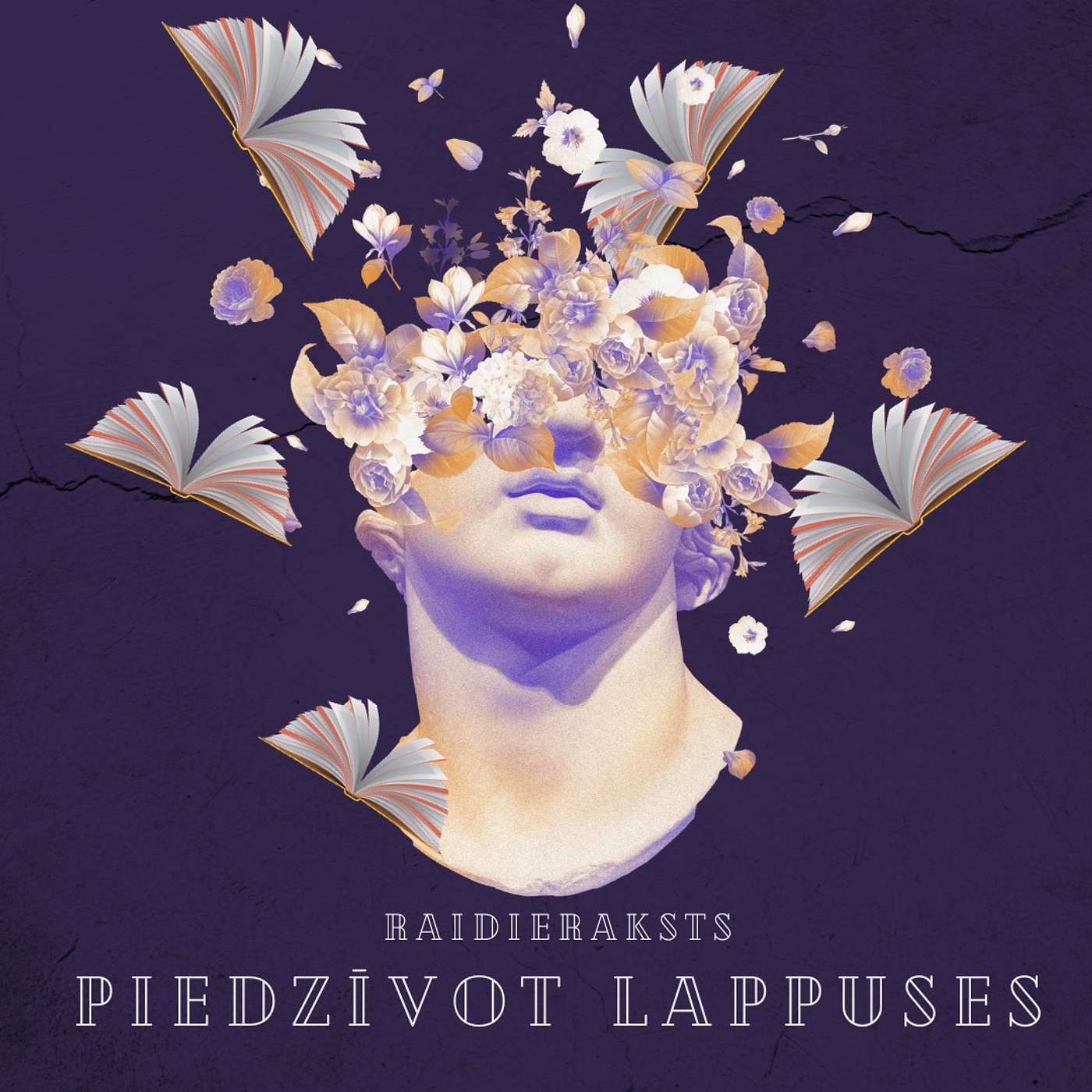 S05E03 Piedzīvot lappuses un kadrus R. J. Palasio "Brīnums"