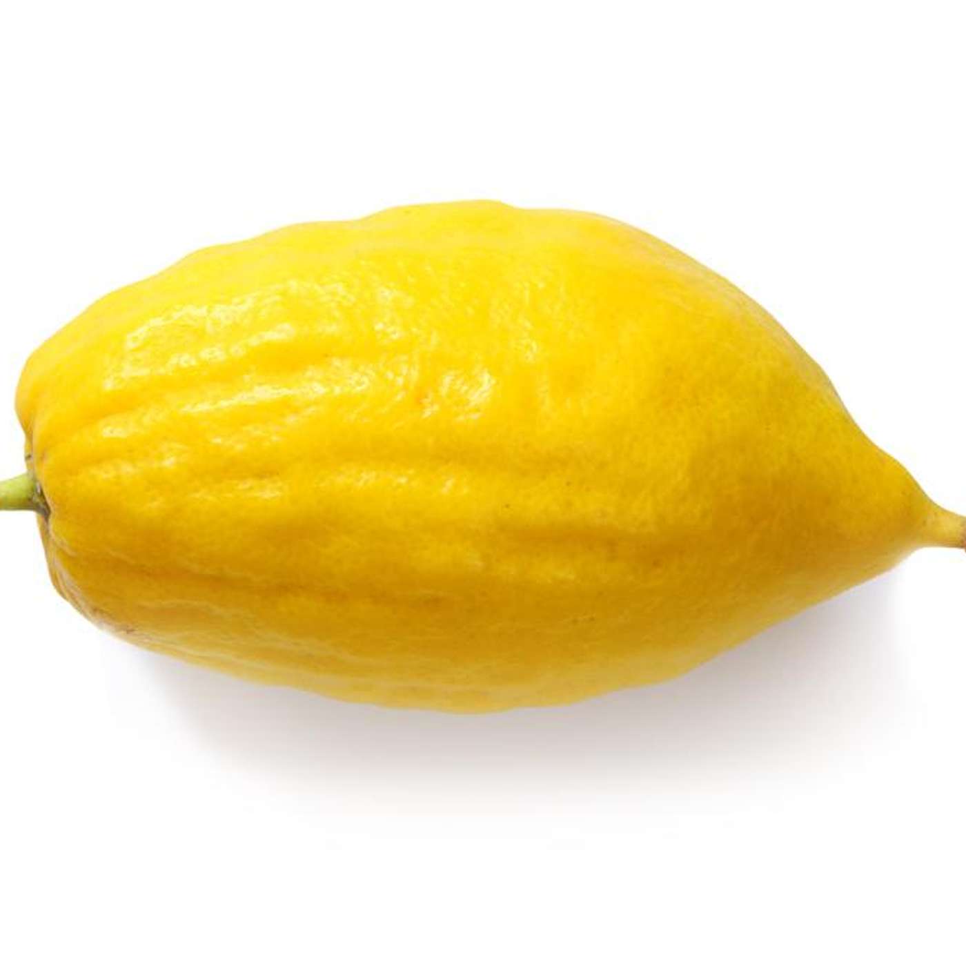 Episode 275 - Nothing More Whole than a Broken...Etrog (Succot # 4)
