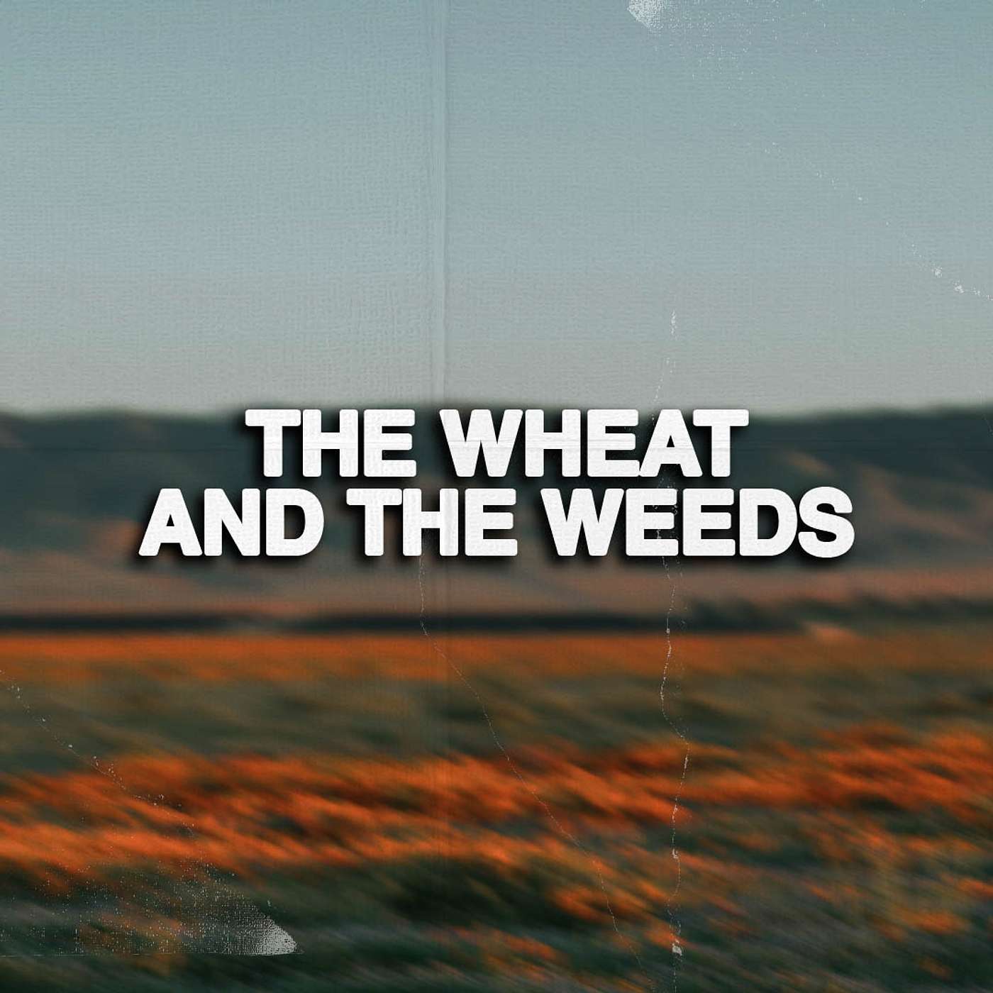 Sunday Sermon | The Wheat And The Weeds | Bo Kilgore episode artwork