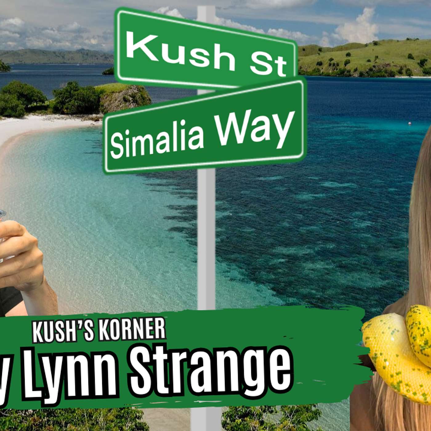Keeping And Breeding Green Trees And Scrub Pythons | Kush's Korner Live