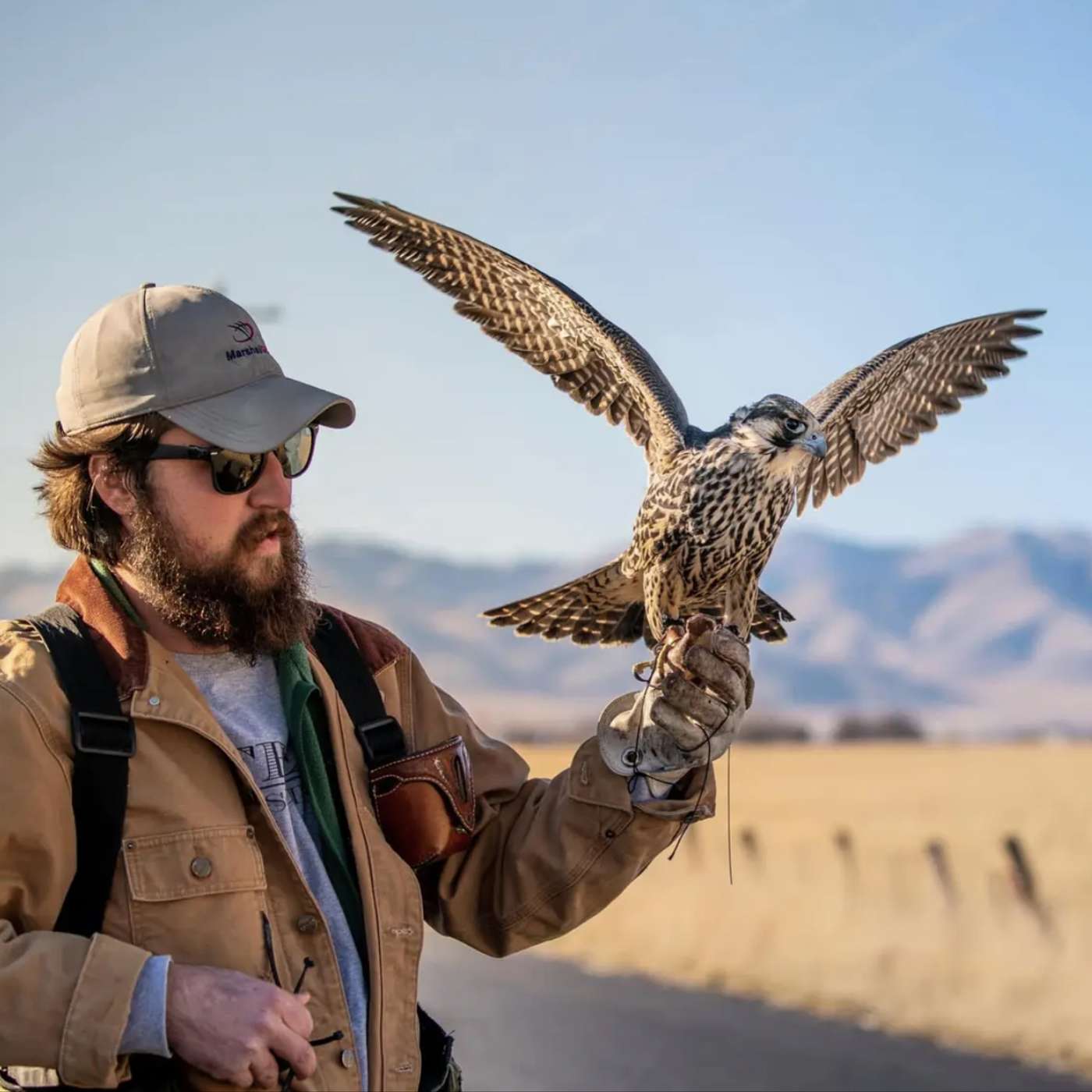 The Hawk Force Podcast - Episode 70: Snipe Hawking w/ Passage Falcons, Nick Yashko