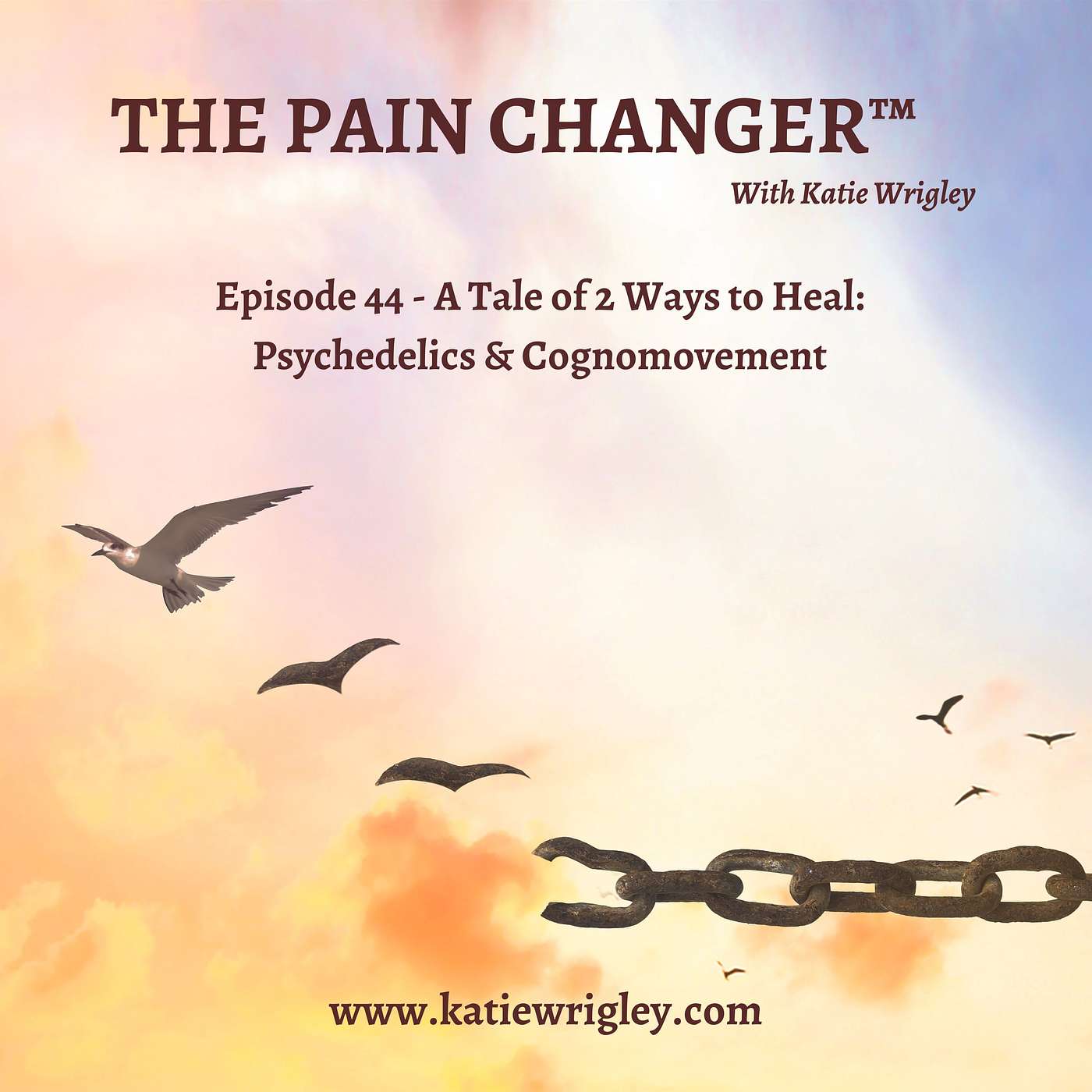 A Tale of 2 Ways to Heal: Psychedelics & Cognomovement