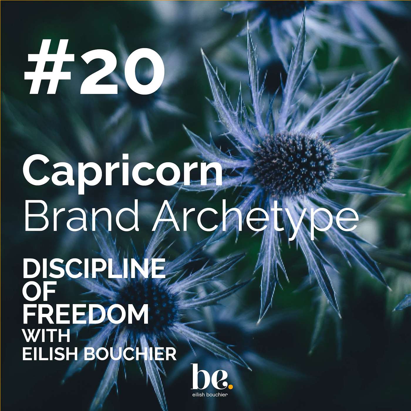 Discipline of Freedom