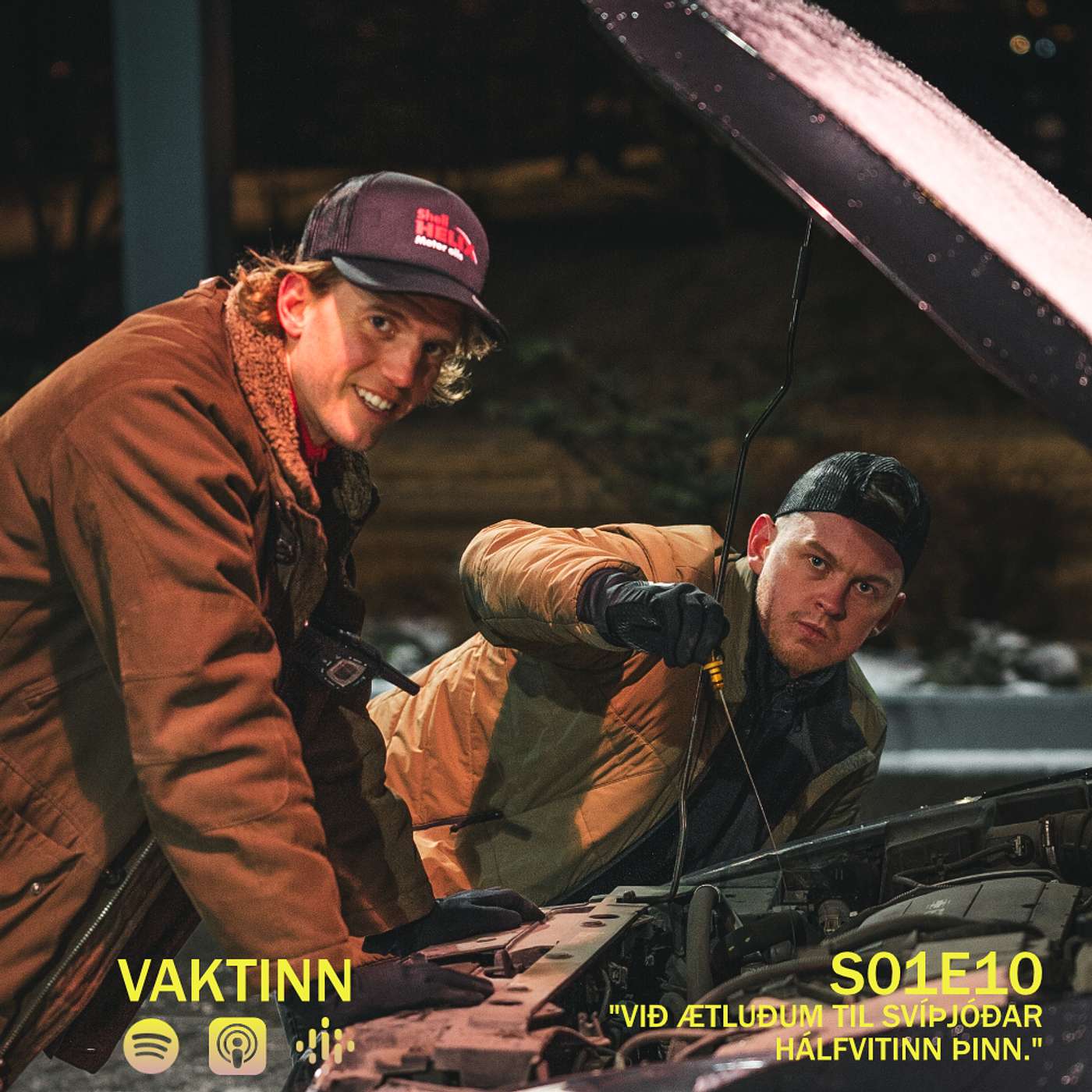 S01E10 - "Við ætluðum til Svíþjóðar hálfvitinn þinn."