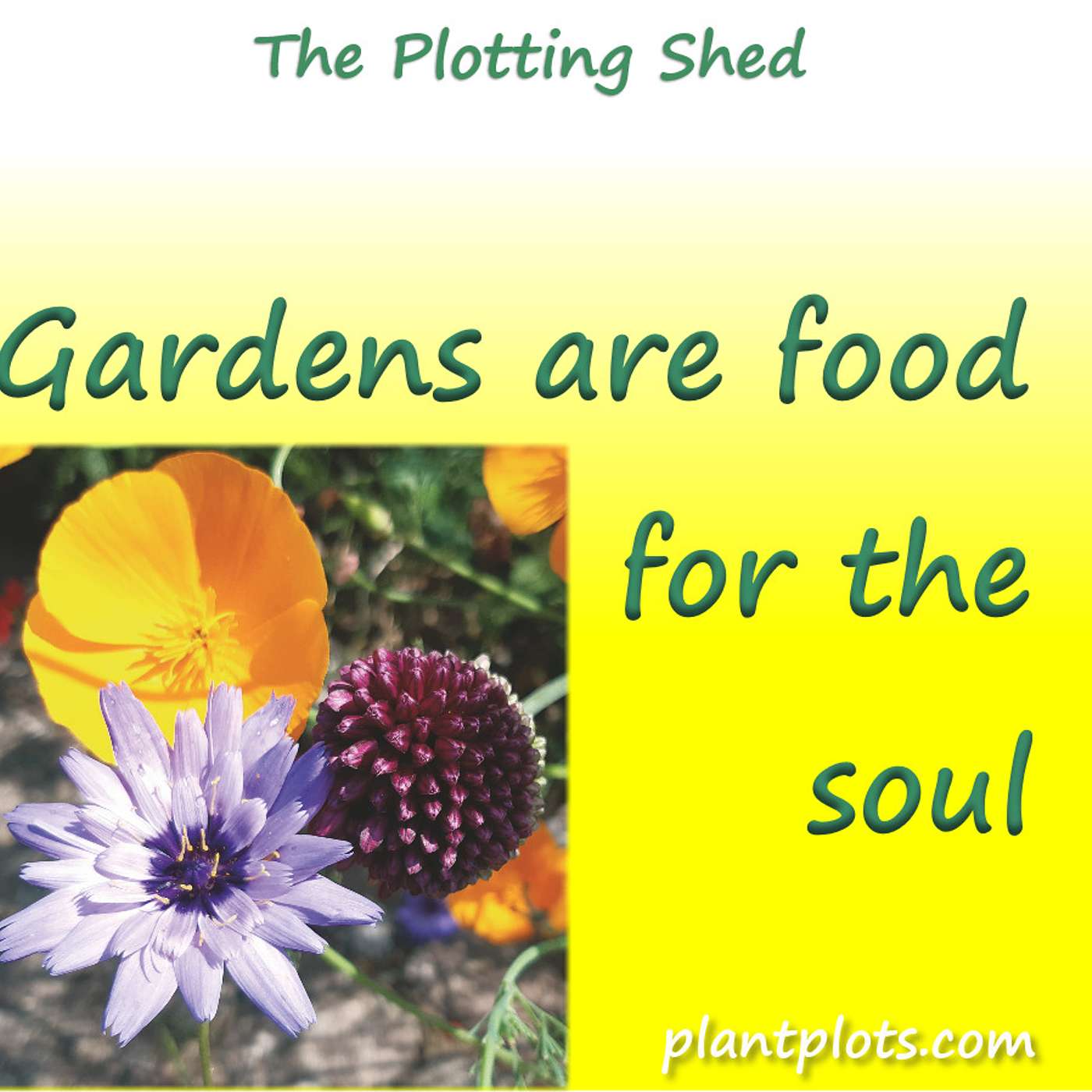 Why gardens are really really good for you!