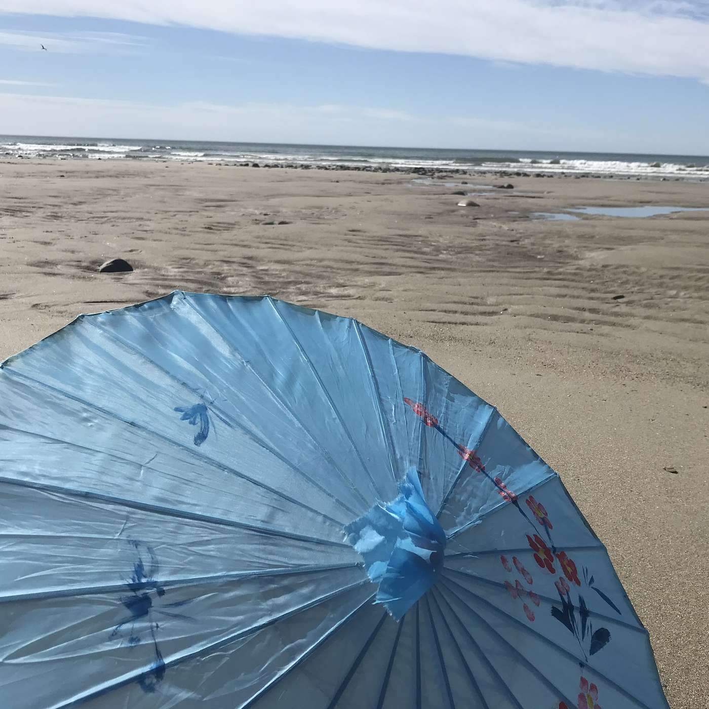 14th Stop, Parsons Beach, May 27, 2021 9:30 am