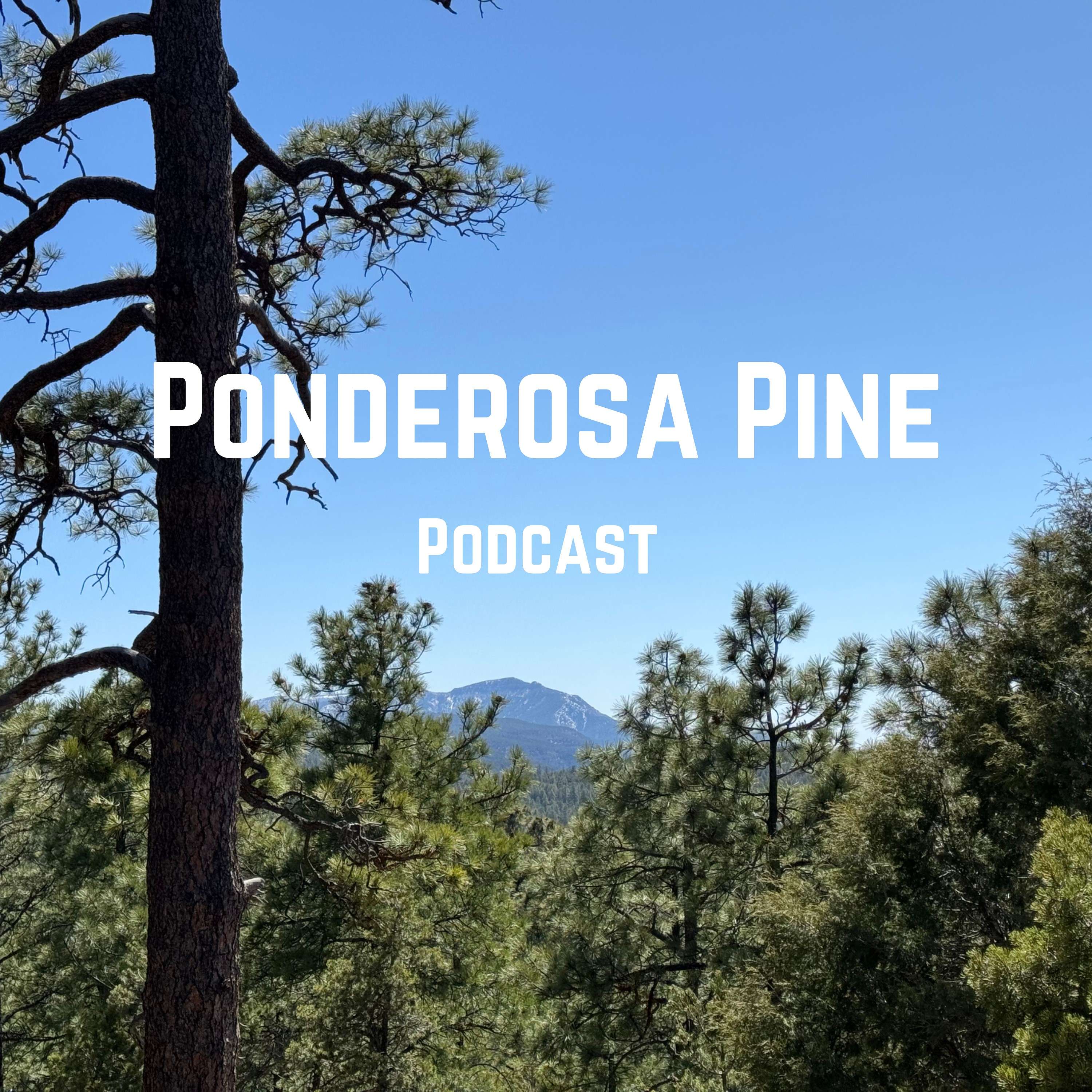 Ponderosa Pine Podcast