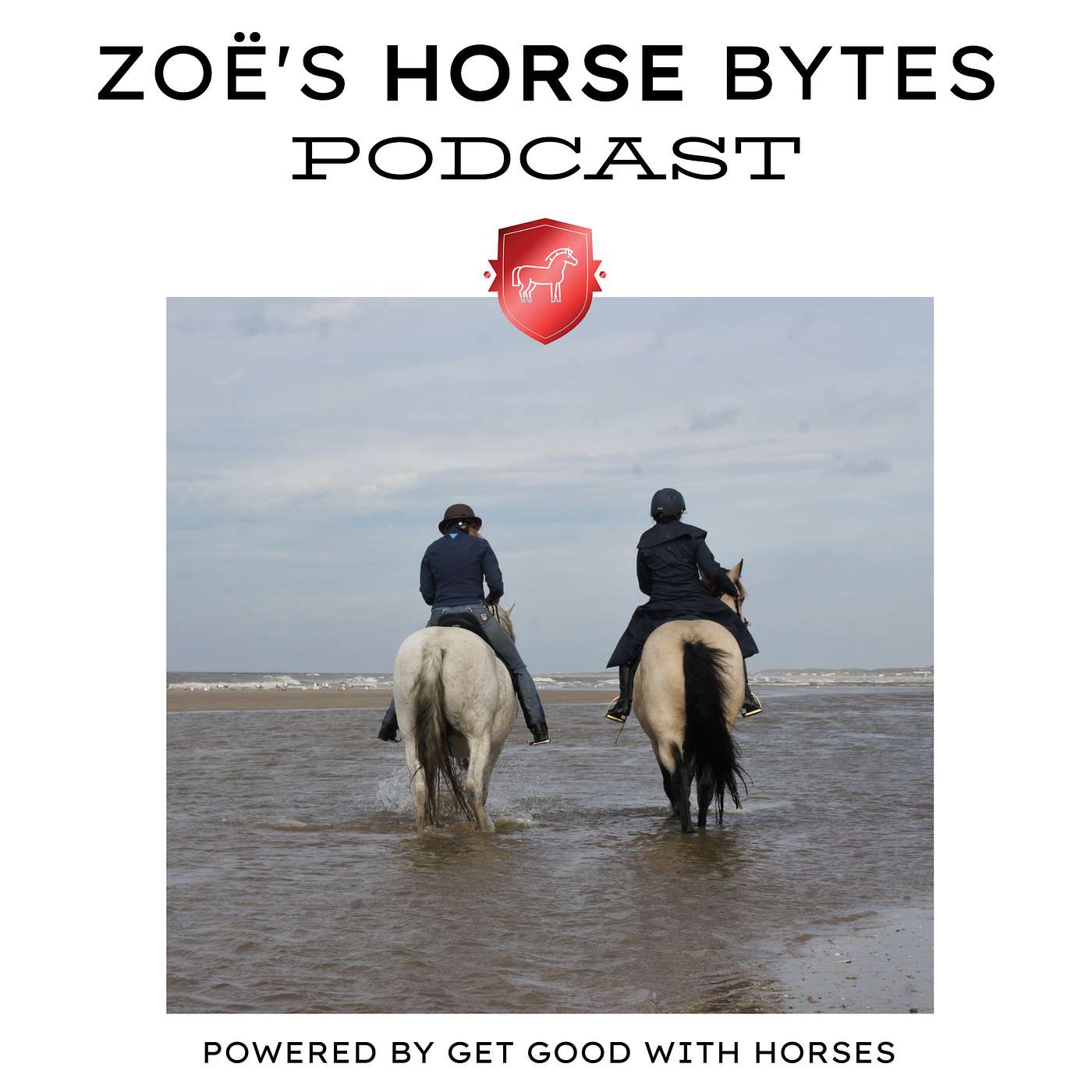 10. What is a good trail riding horse? episode artwork