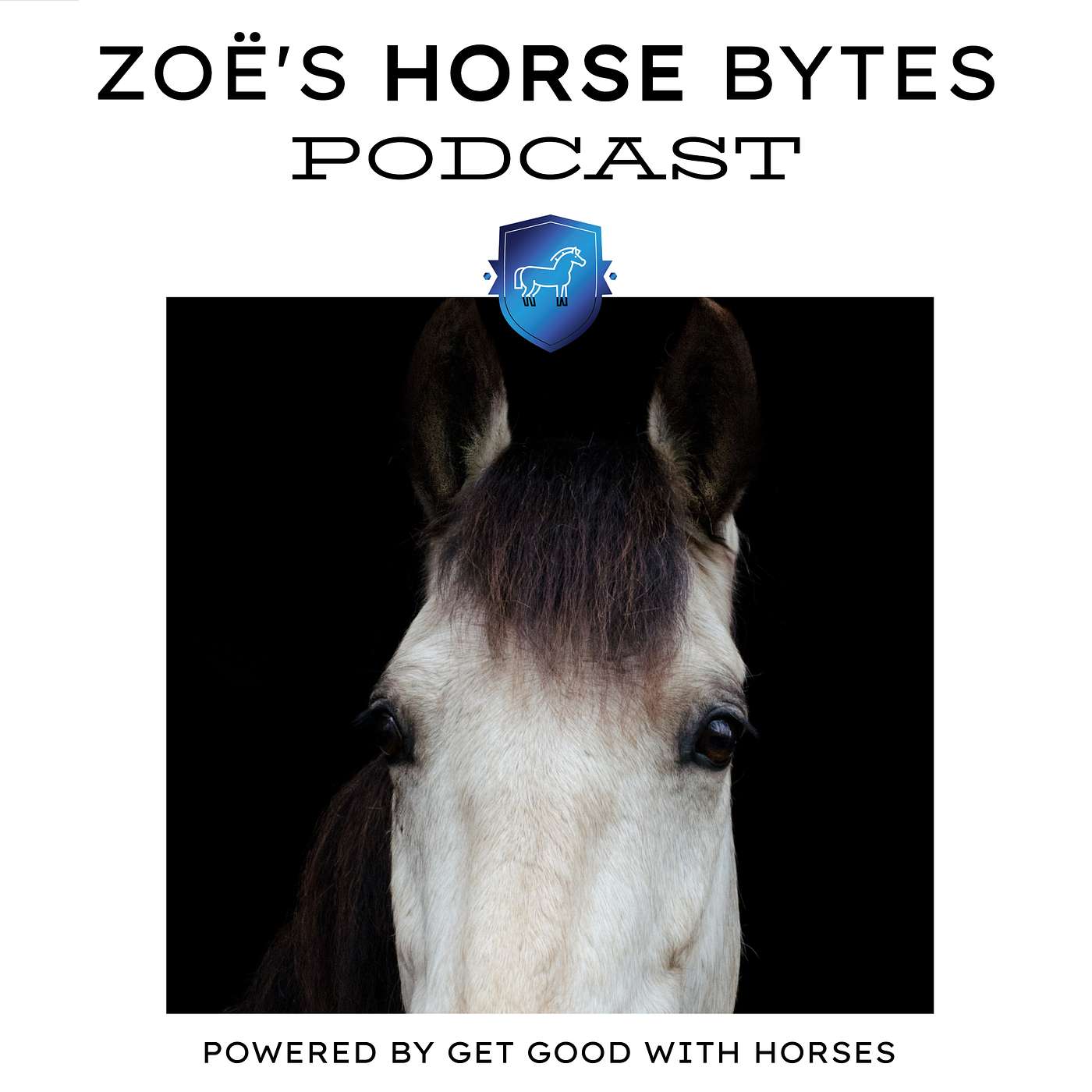 67. Horses that have no go episode artwork