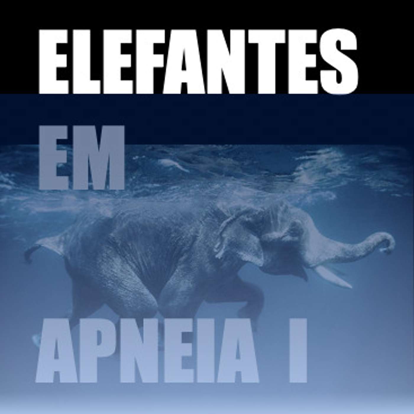 Elefantes na Neblina
