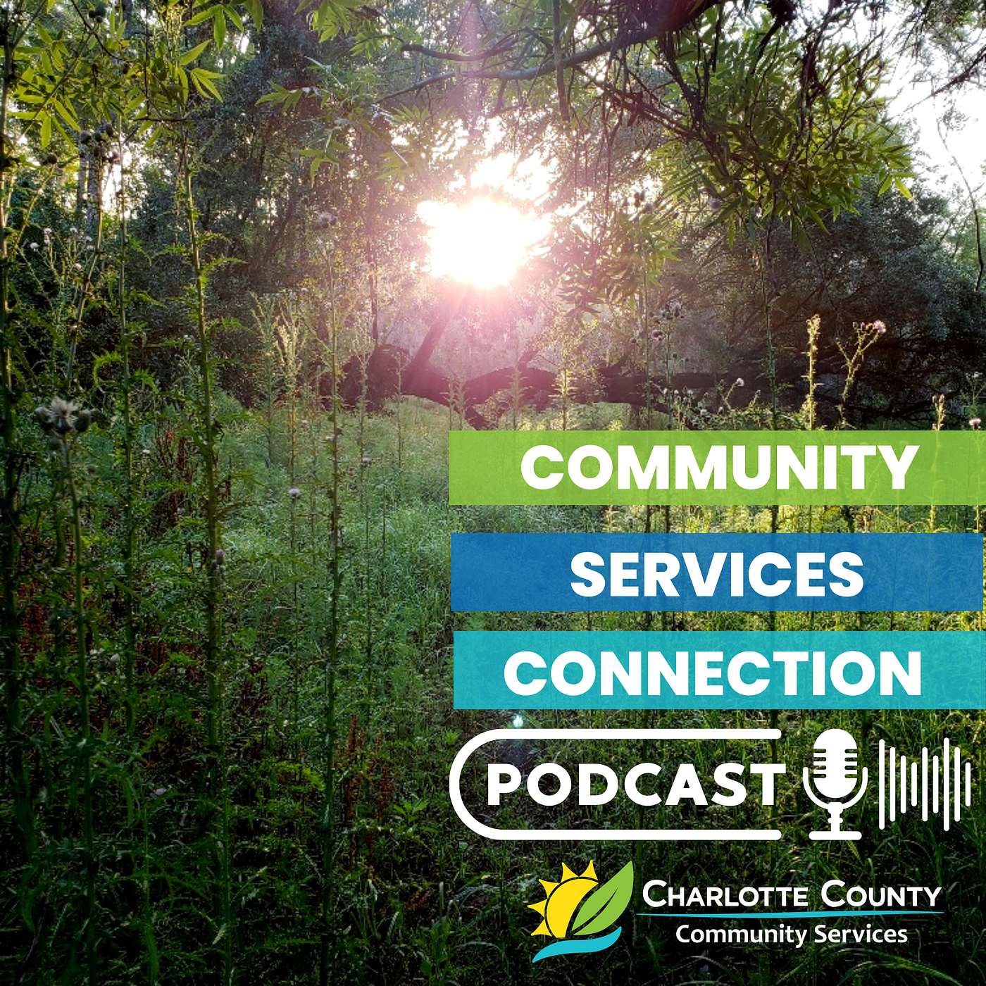 World Environment Day with Environmental Specialist Jason Thompson episode artwork