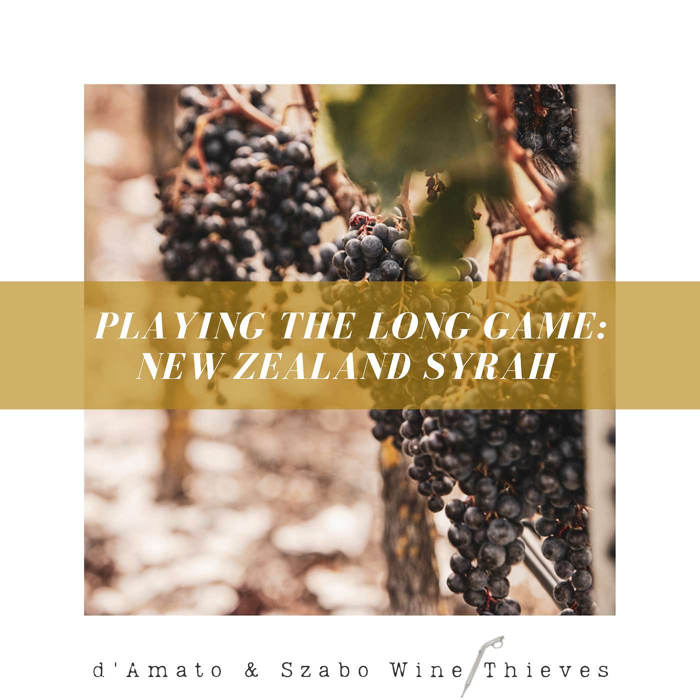 D’Amato & Szabo: Wine Thieves