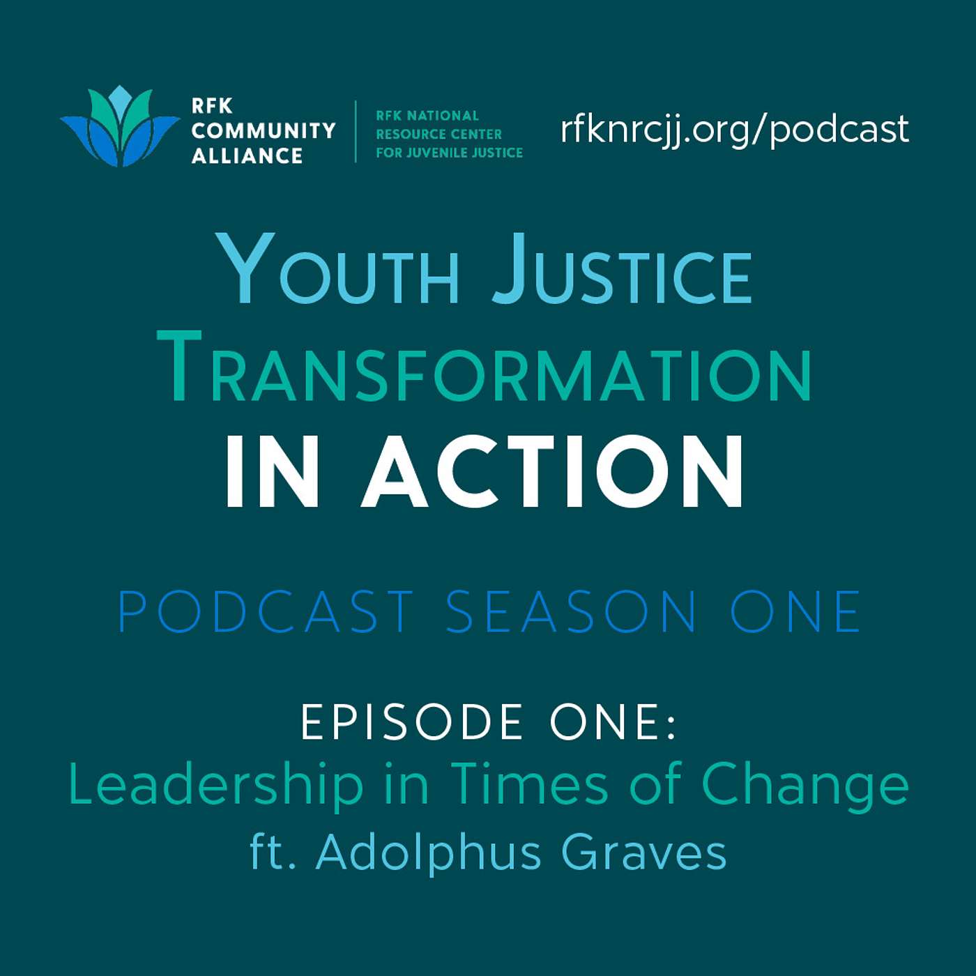 Youth Justice Transformation in Action