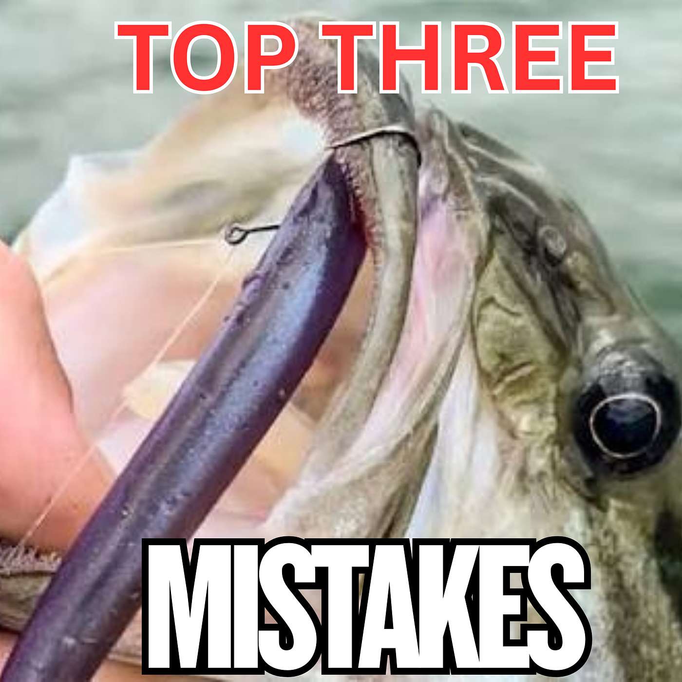 Top Mistakes Anglers Need to AVOID When Fishing A Dropshot
