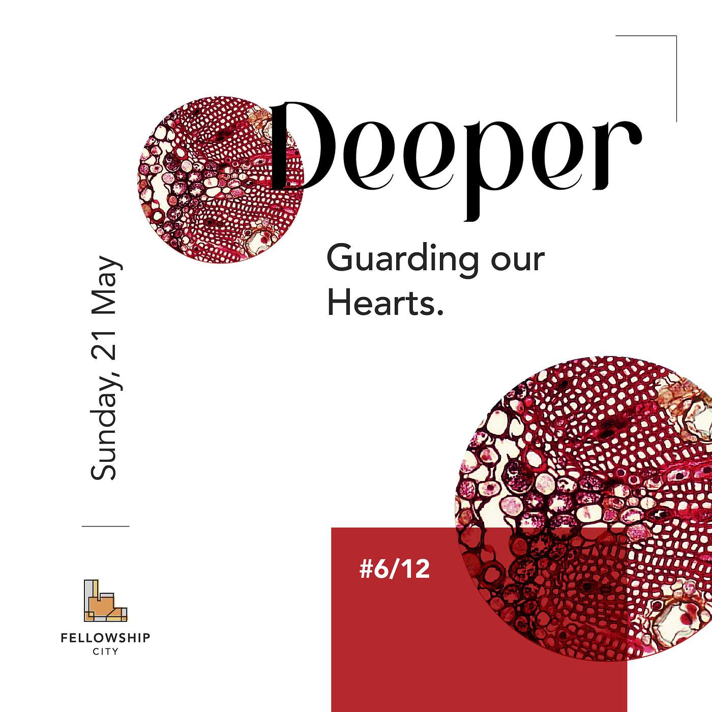Deeper: E6 - Guarding Our Hearts episode artwork