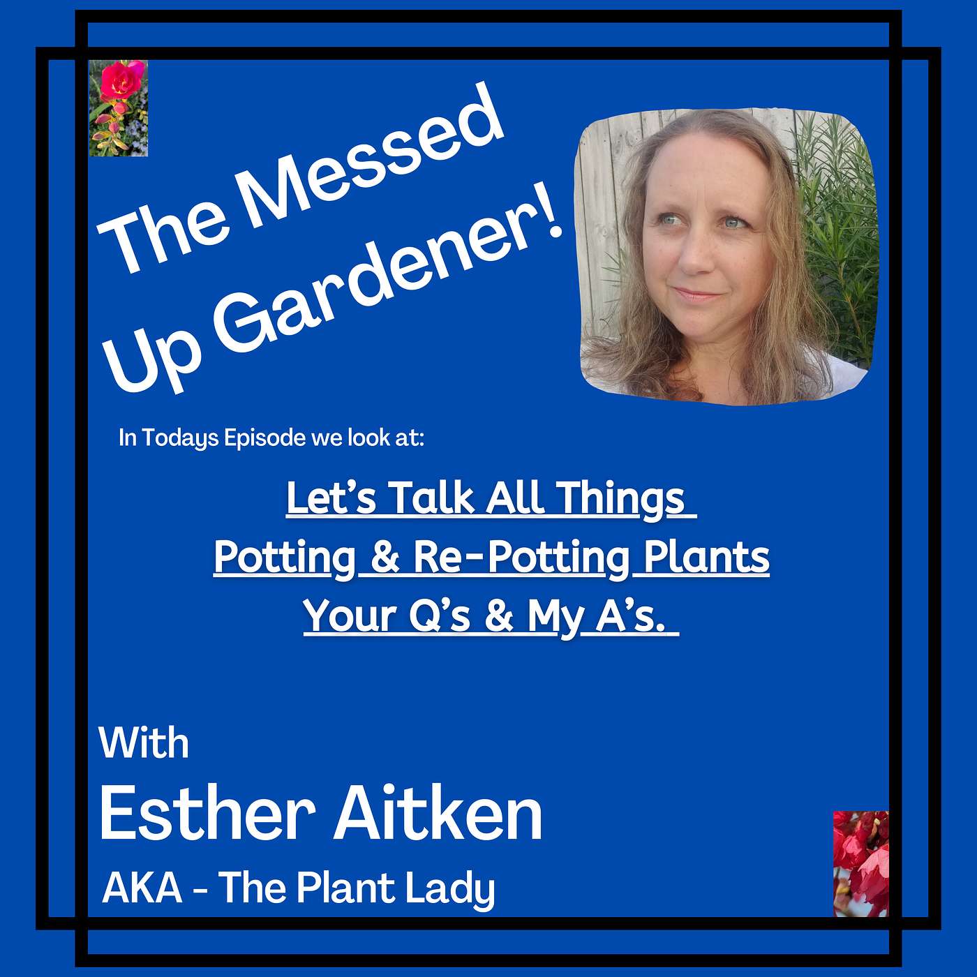 The Messed Up Gardener